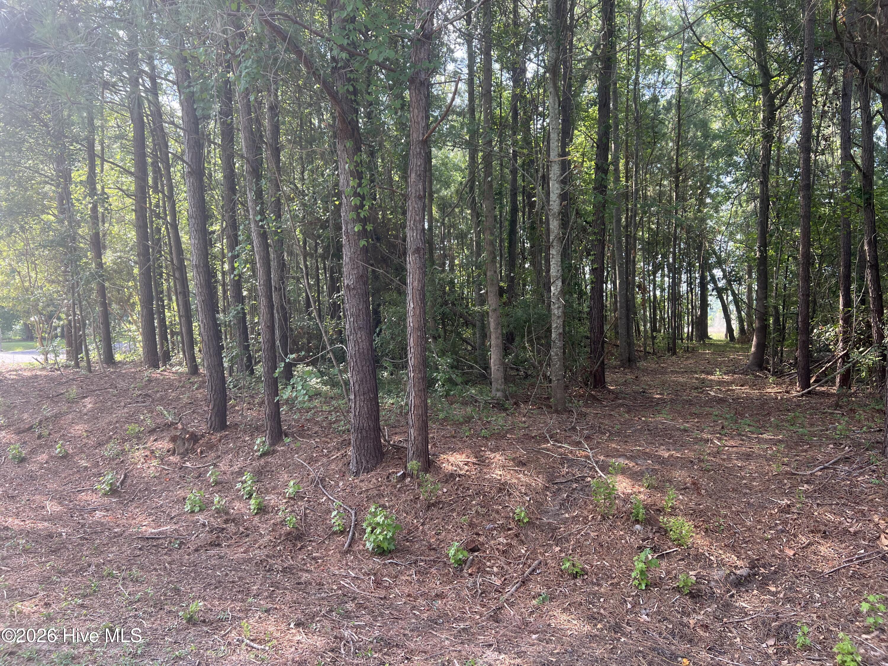 Lot 4 Cedar Lane Property Photo 8