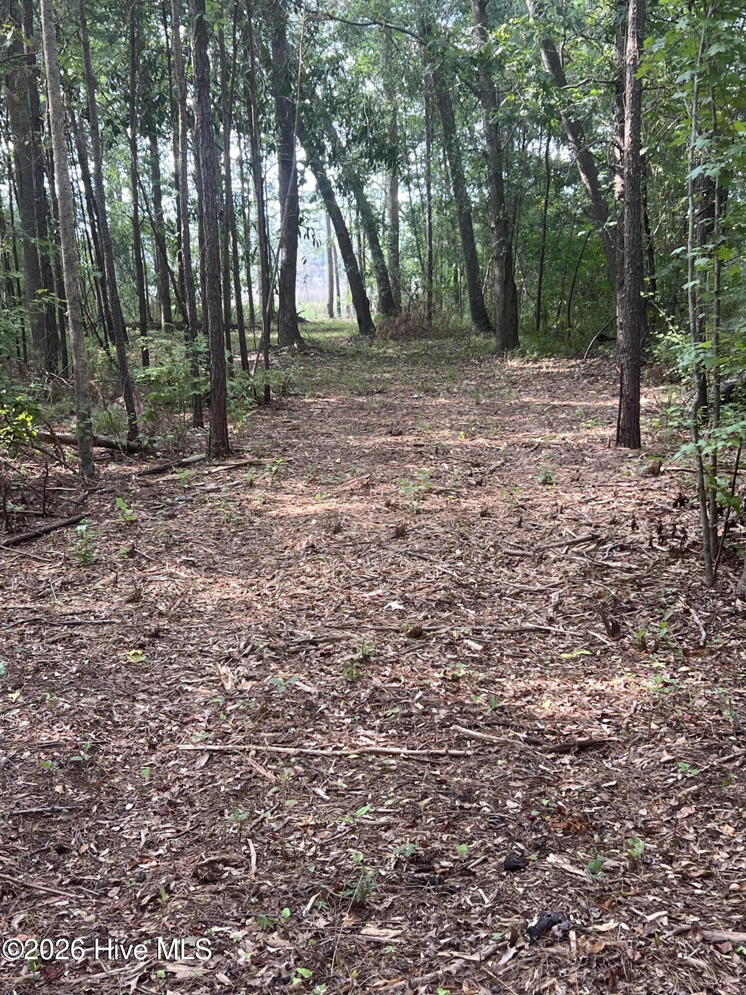 Lot 4 Cedar Lane Property Photo 9