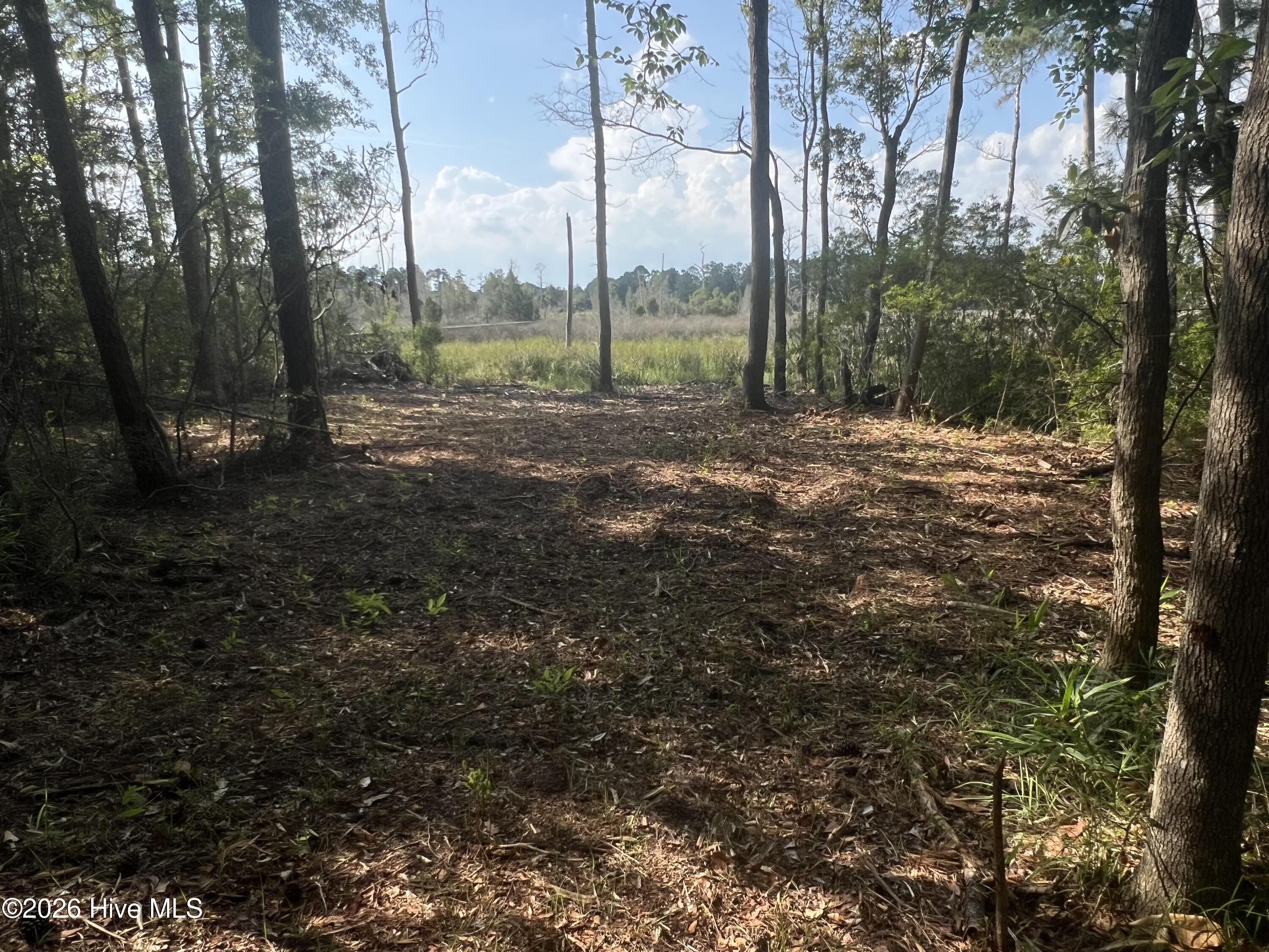 Lot 4 Cedar Lane Property Photo 10