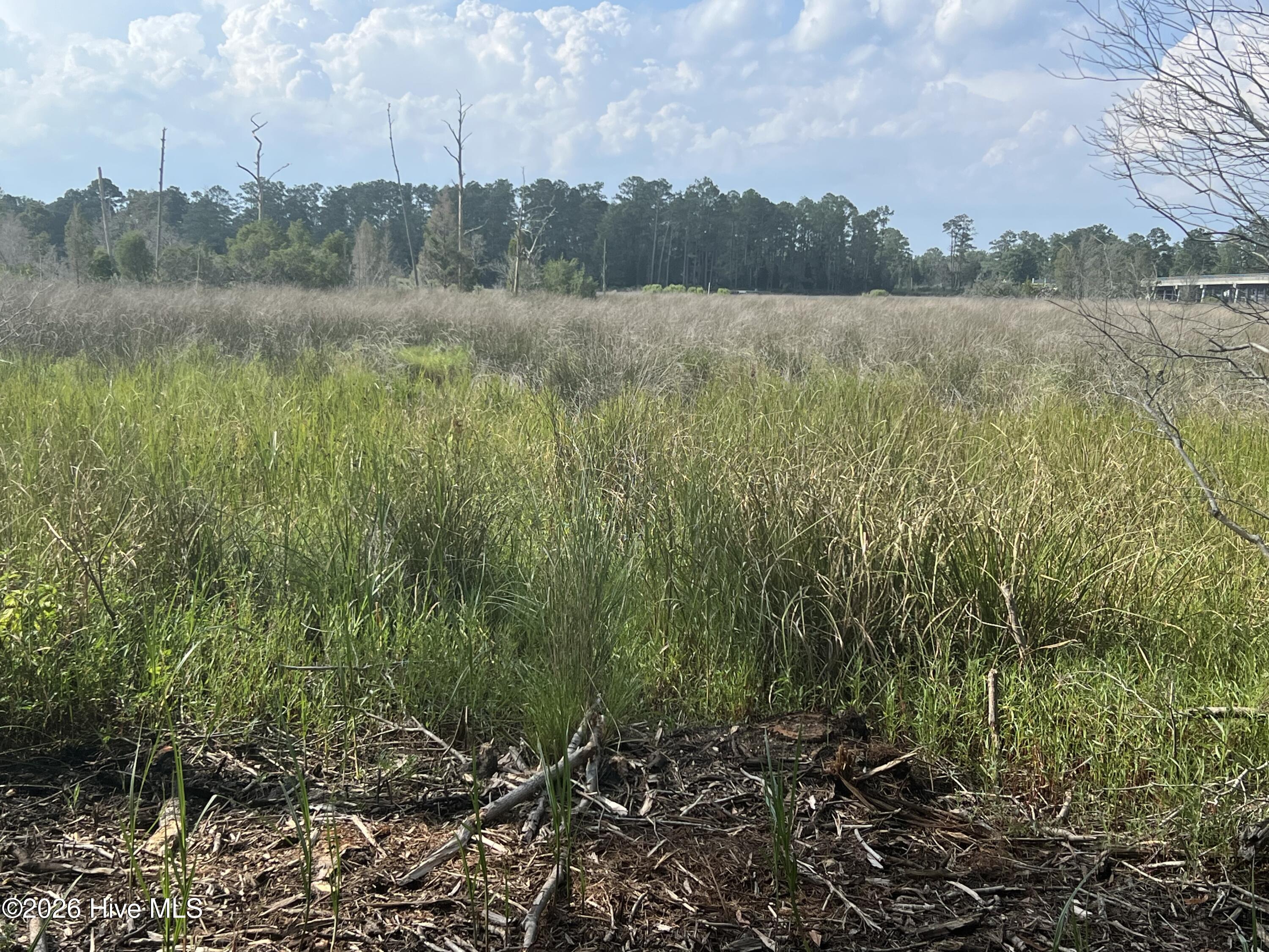 Lot 4 Cedar Lane Property Photo 12