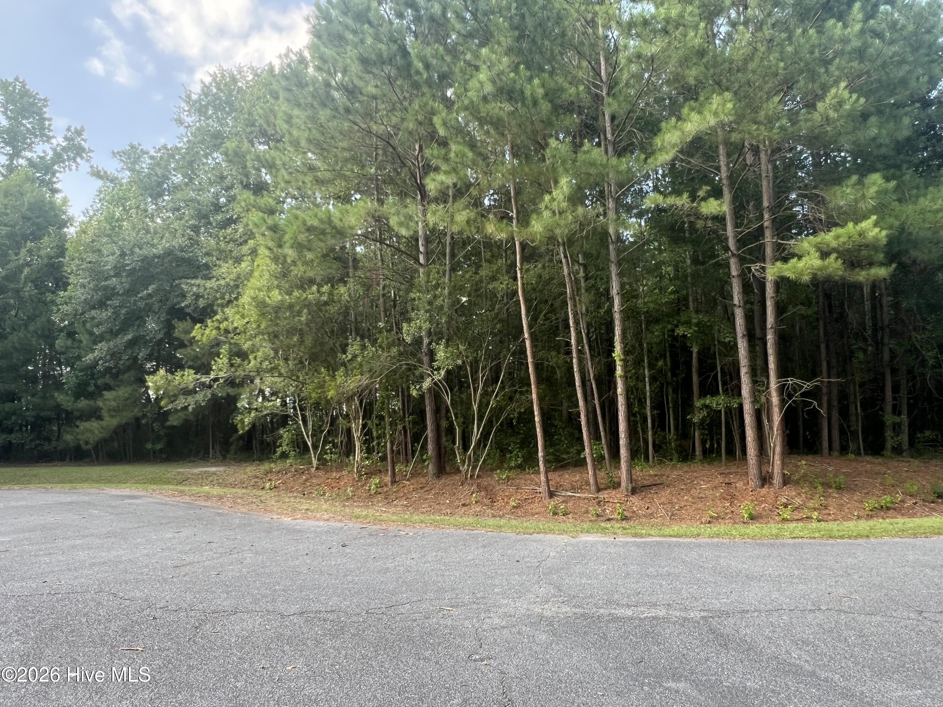 Lot 4 Cedar Lane Property Photo 13