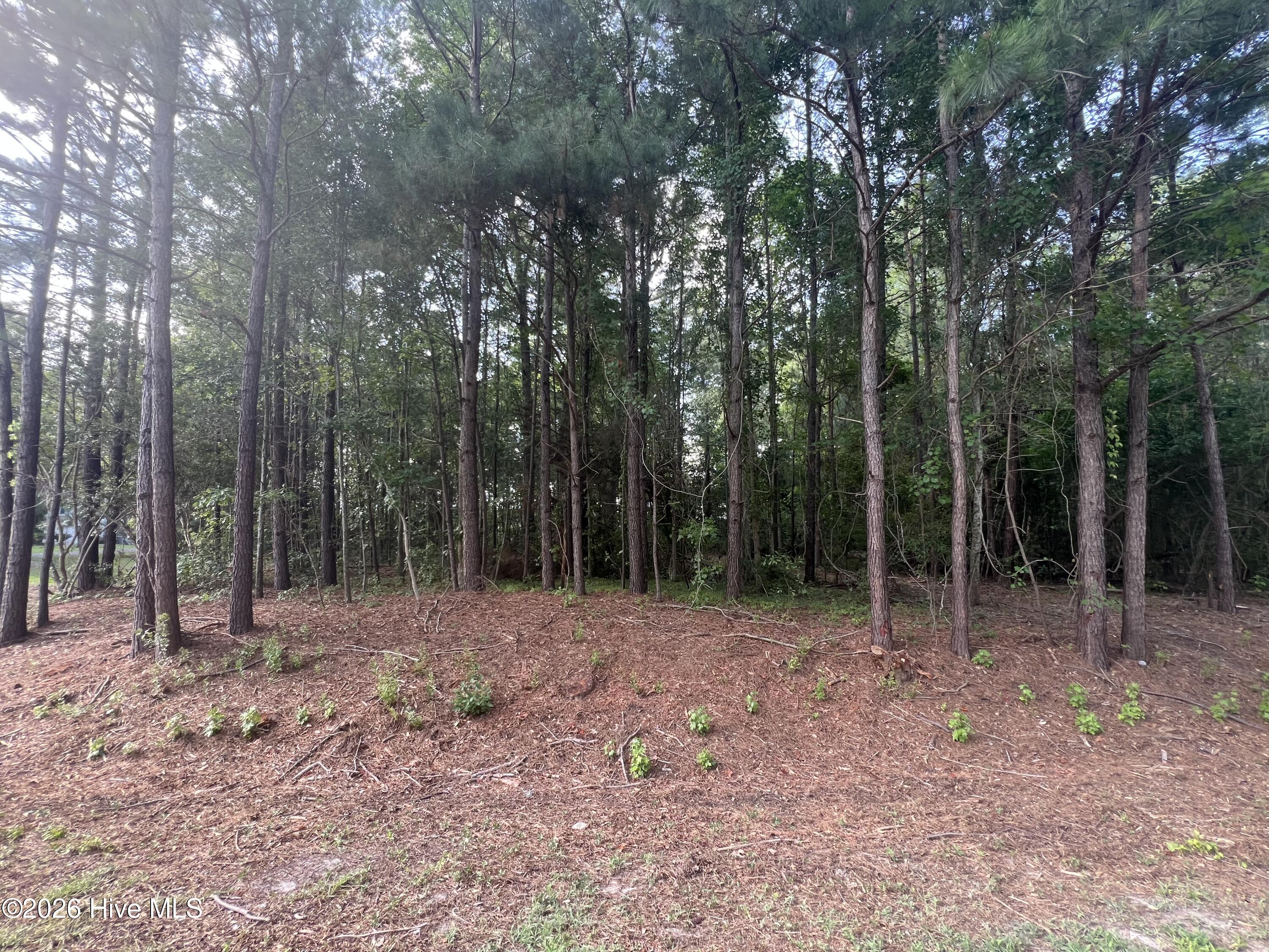 Lot 4 Cedar Lane Property Photo 14