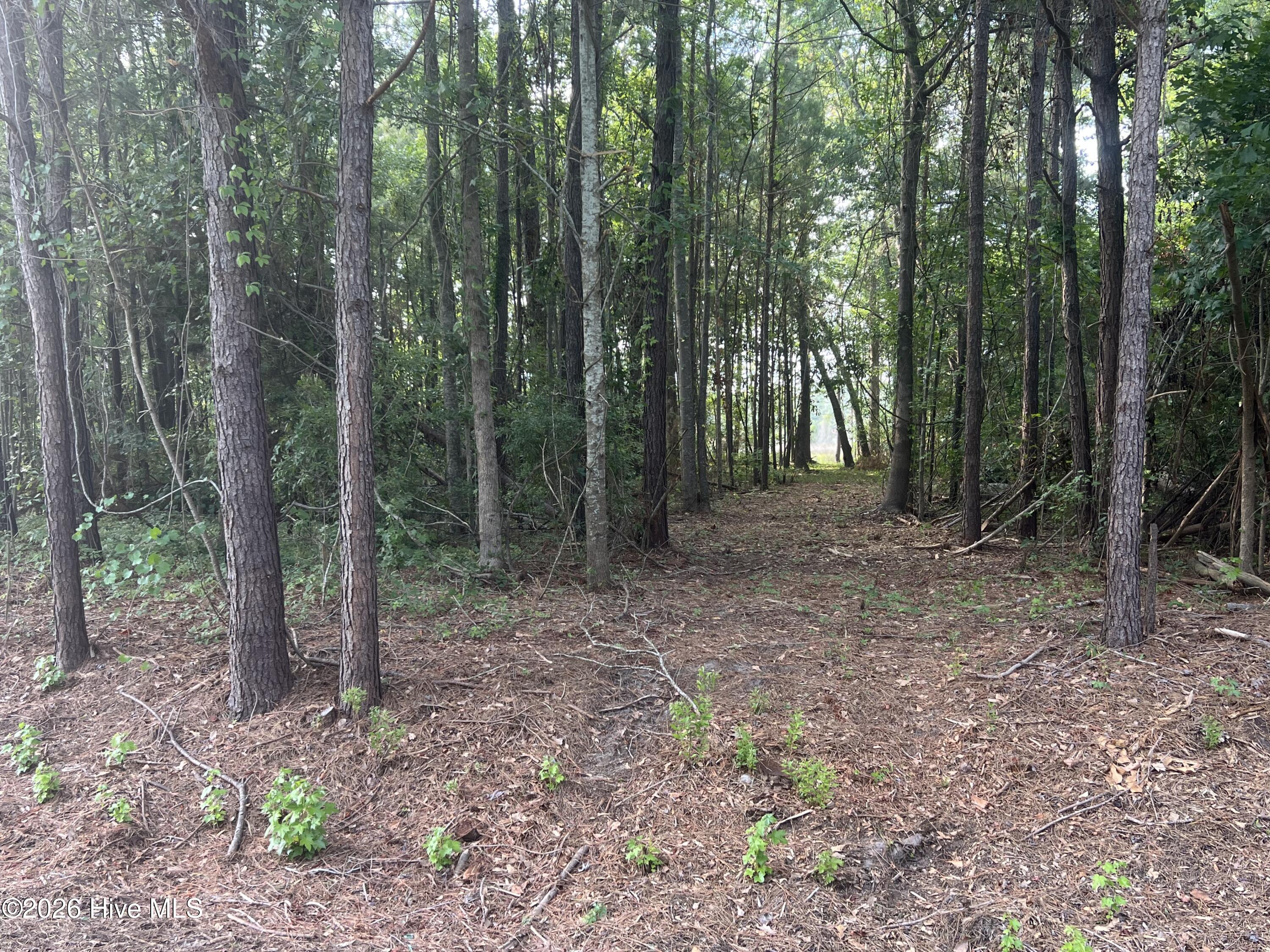 Lot 4 Cedar Lane Property Photo 15