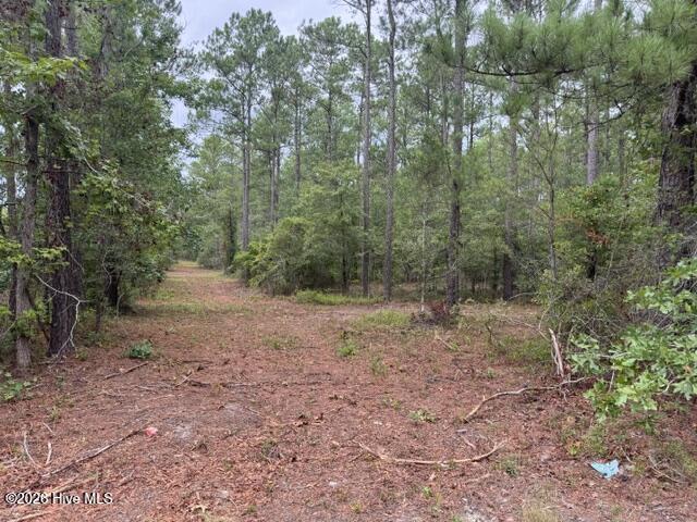 0 1 Nc Highway 210 Road Property Photo 1