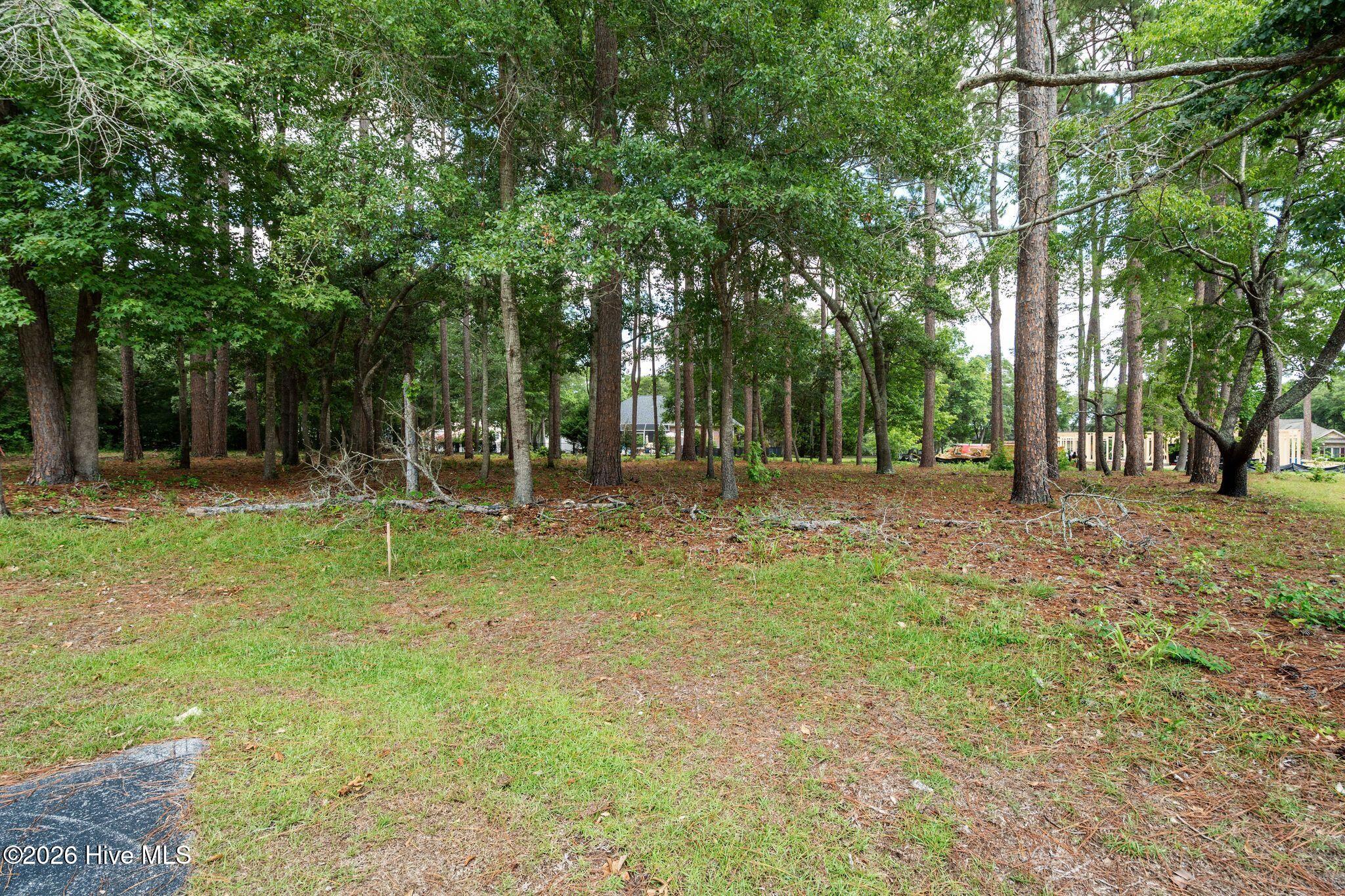 1355 Royal Colony Drive Property Photo 3