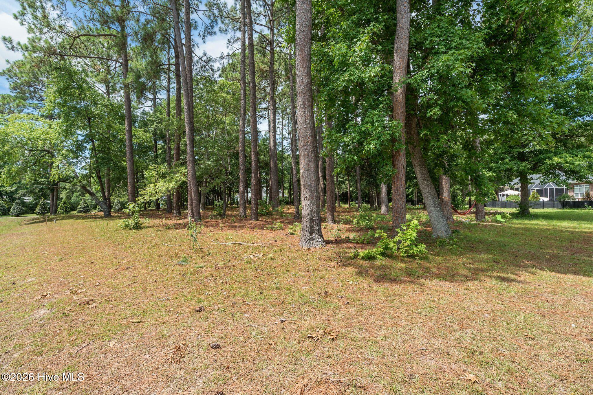 1355 Royal Colony Drive Property Photo 6