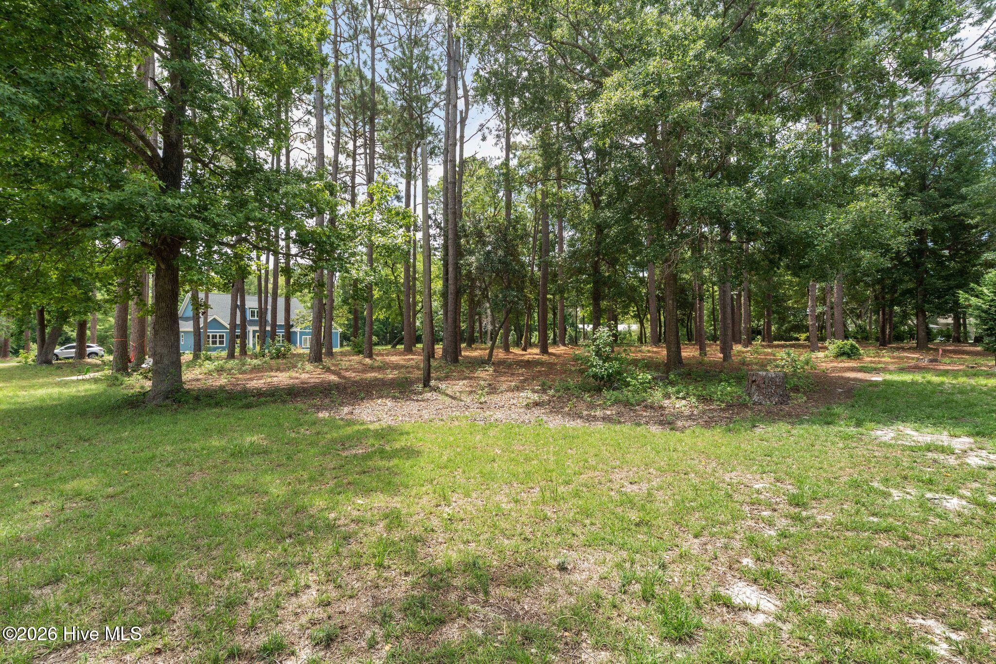 1355 Royal Colony Drive Property Photo 7