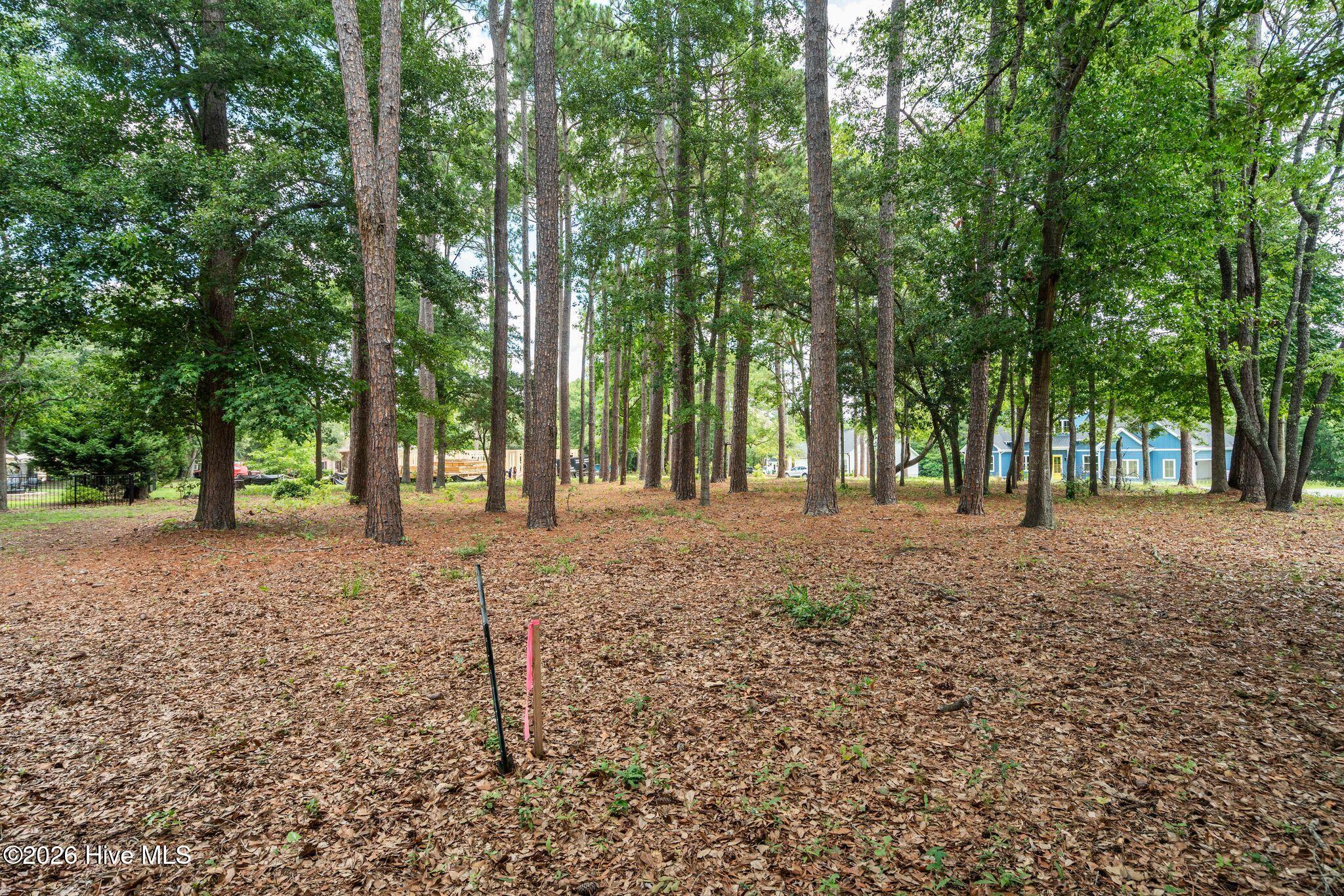 1355 Royal Colony Drive Property Photo 10