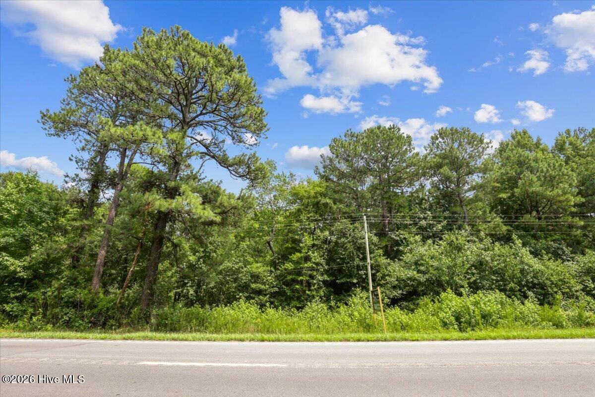 5203 Us-258 Property Photo 3
