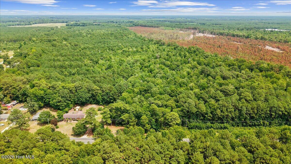 5203 Us-258 Property Photo 11