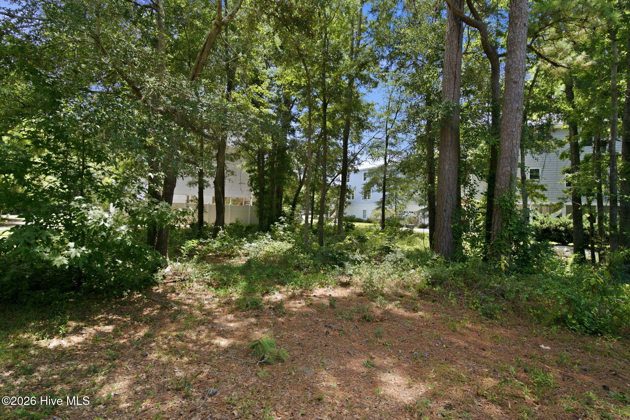 1021 24 Saltspray Lane Property Photo 13