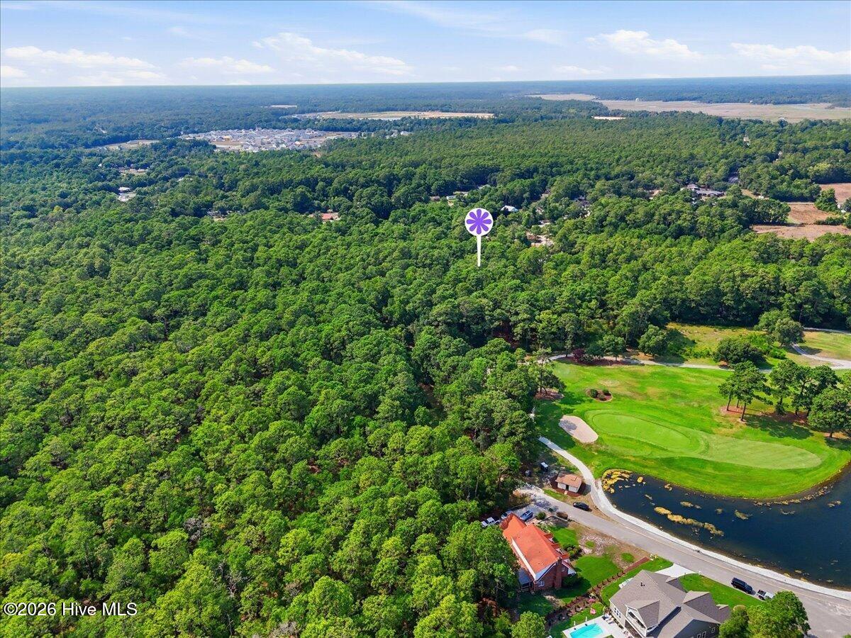 2850 Tract Lake Pointe Drive Property Photo 3