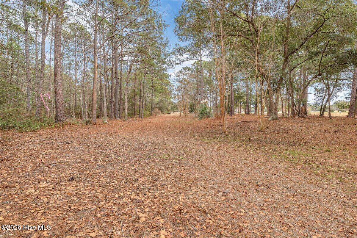 2850 Tract Lake Pointe Drive Property Photo 41