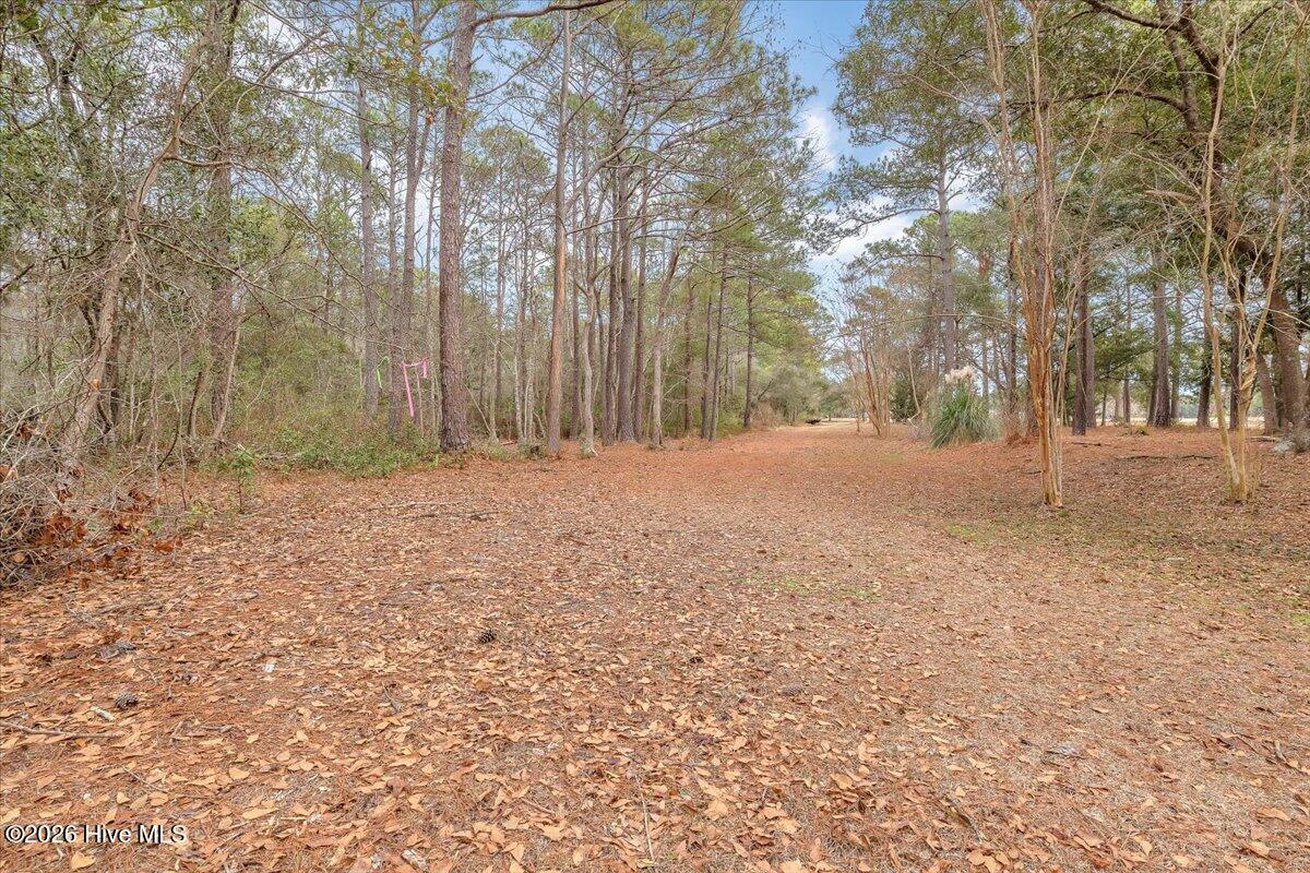 2850 Tract Lake Pointe Drive Property Photo 42