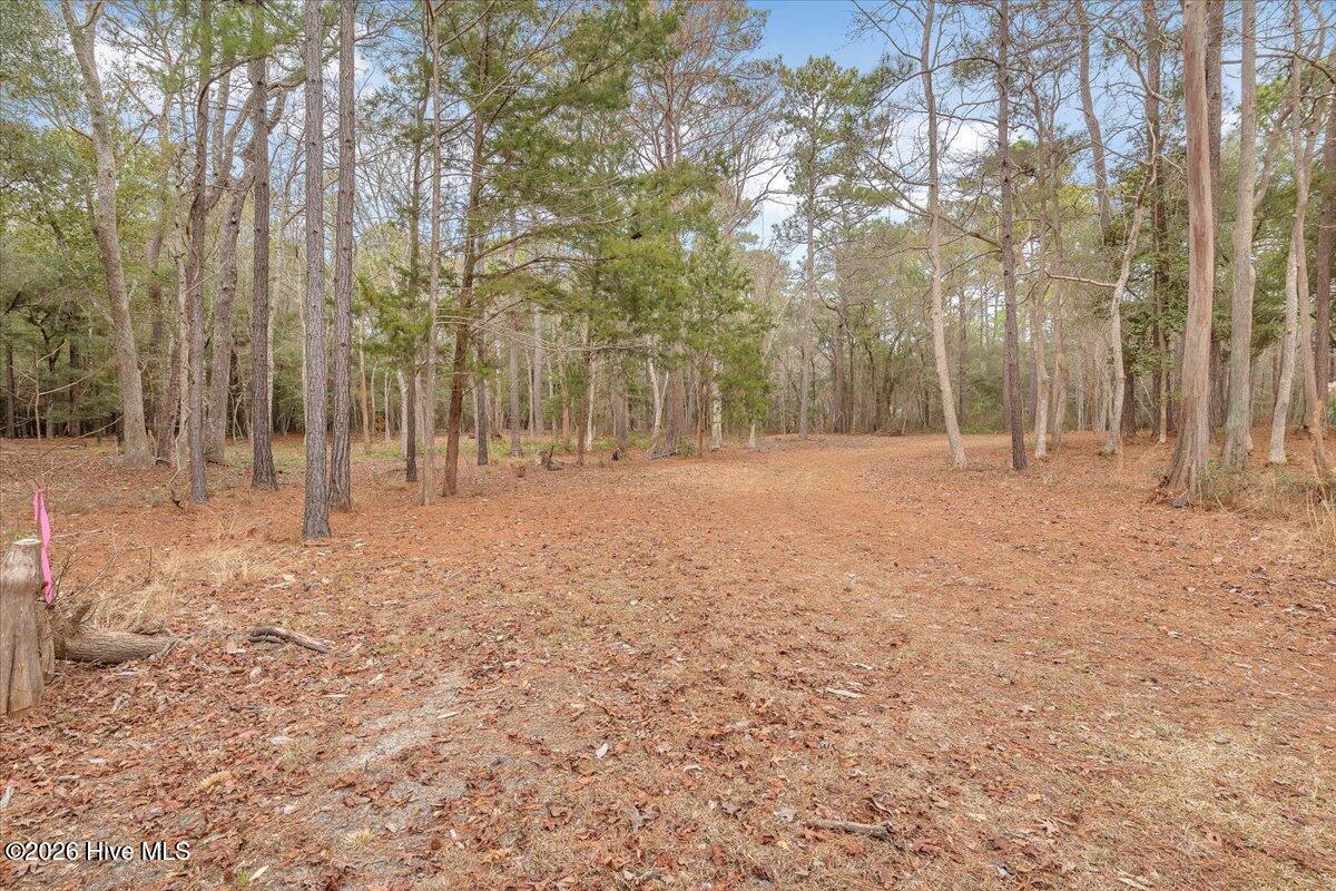 2850 Tract Lake Pointe Drive Property Photo 45