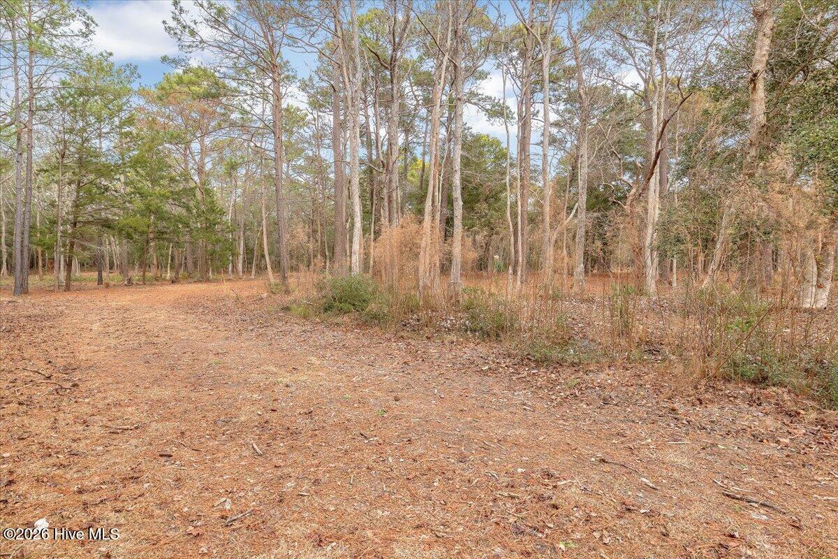 2850 Tract Lake Pointe Drive Property Photo 46
