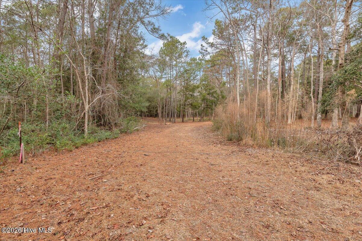 2850 Tract Lake Pointe Drive Property Photo 48