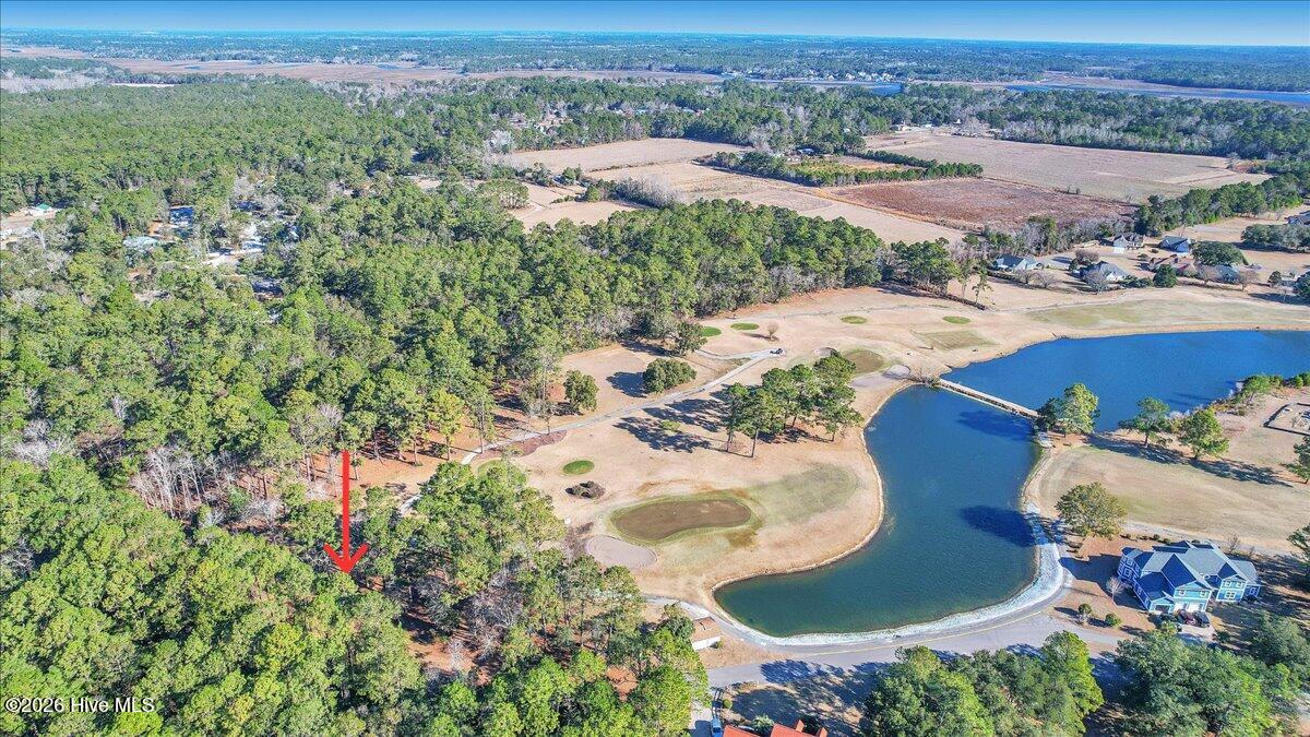 2850 Tract Lake Pointe Drive Property Photo 58