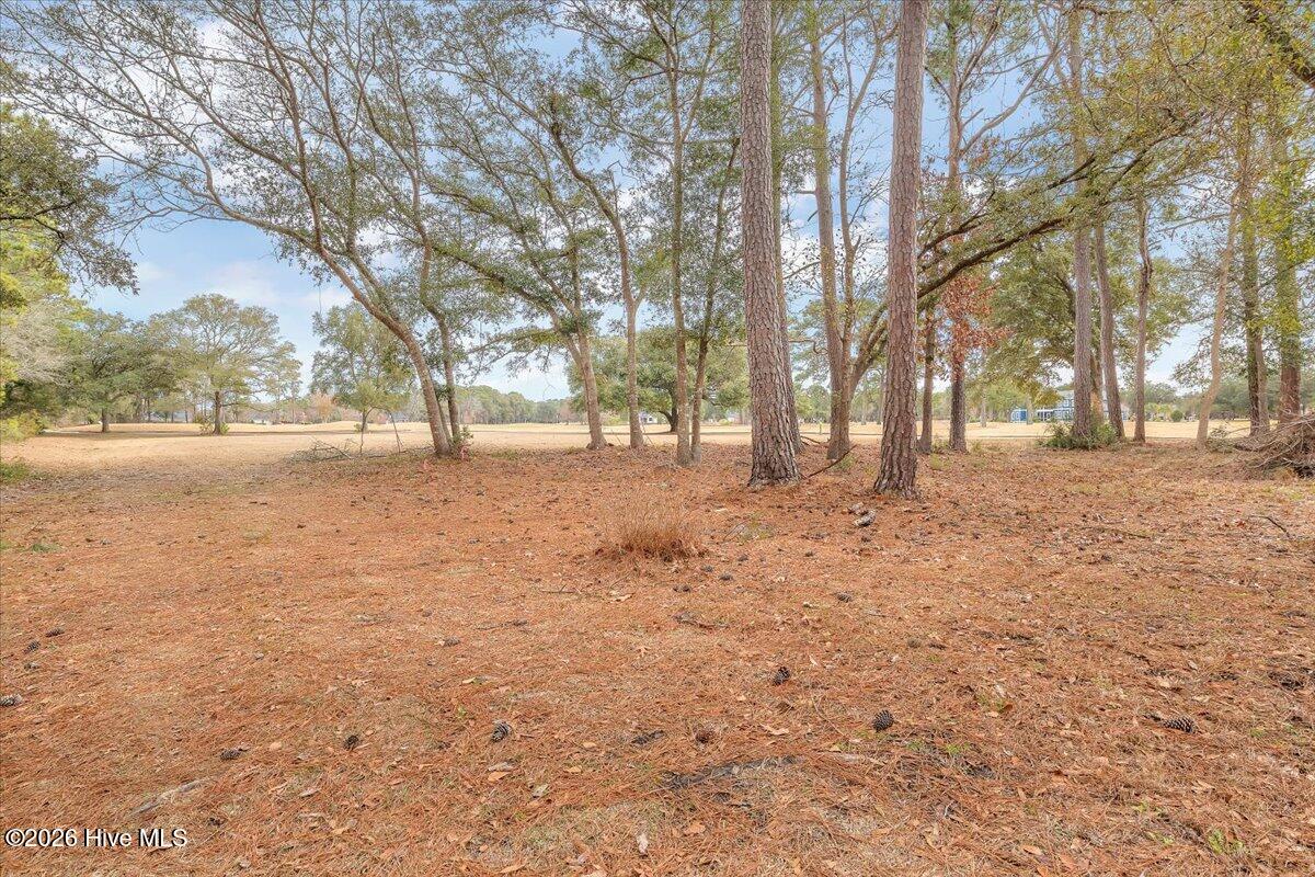 2850 Tract Lake Pointe Drive Property Photo 89