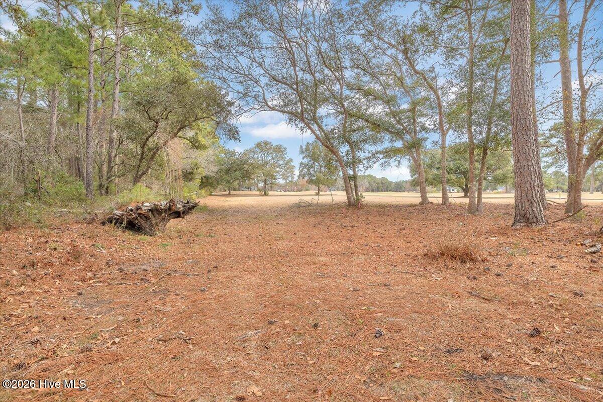 2850 Tract Lake Pointe Drive Property Photo 90