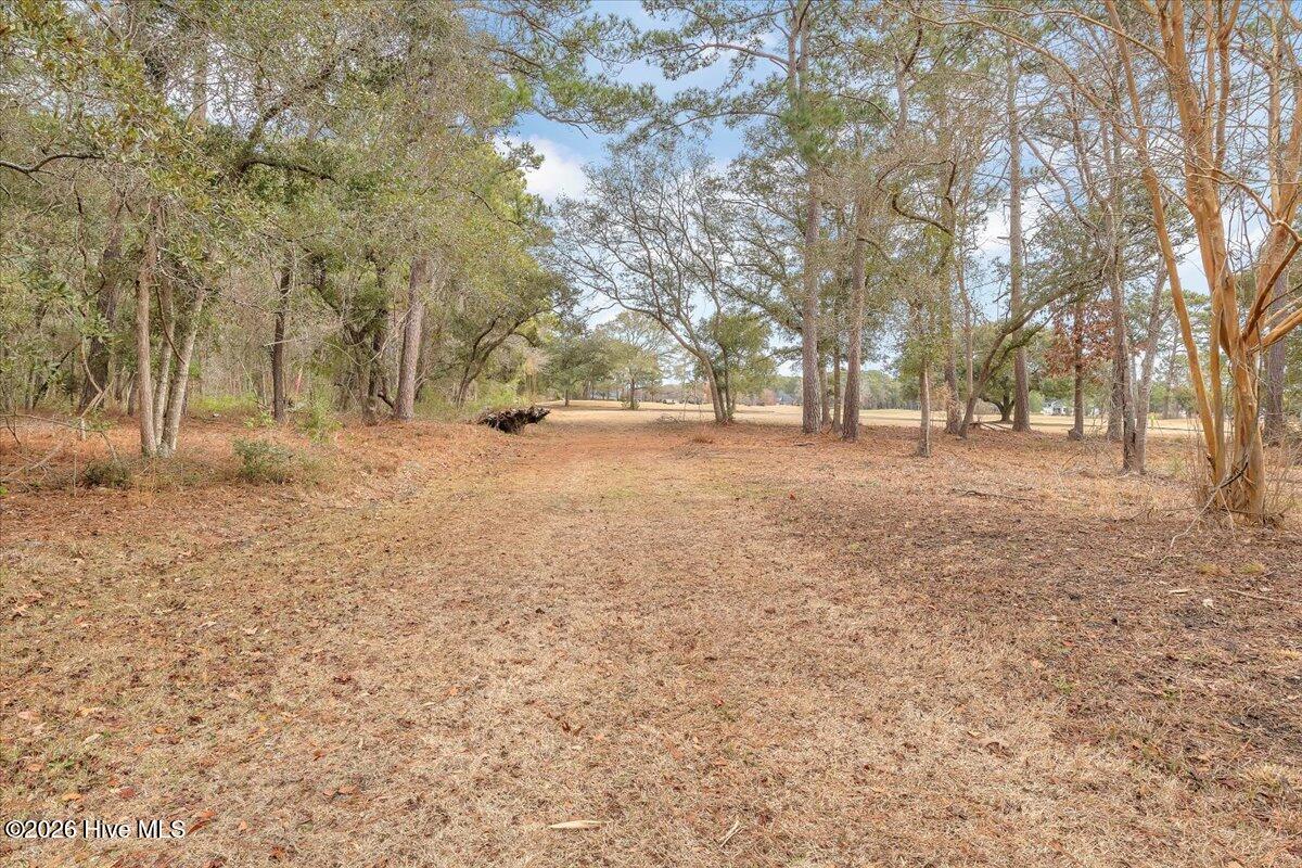 2850 Tract Lake Pointe Drive Property Photo 91