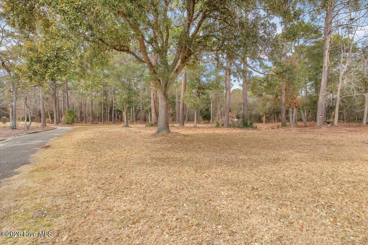 2850 Tract Lake Pointe Drive Property Photo 119