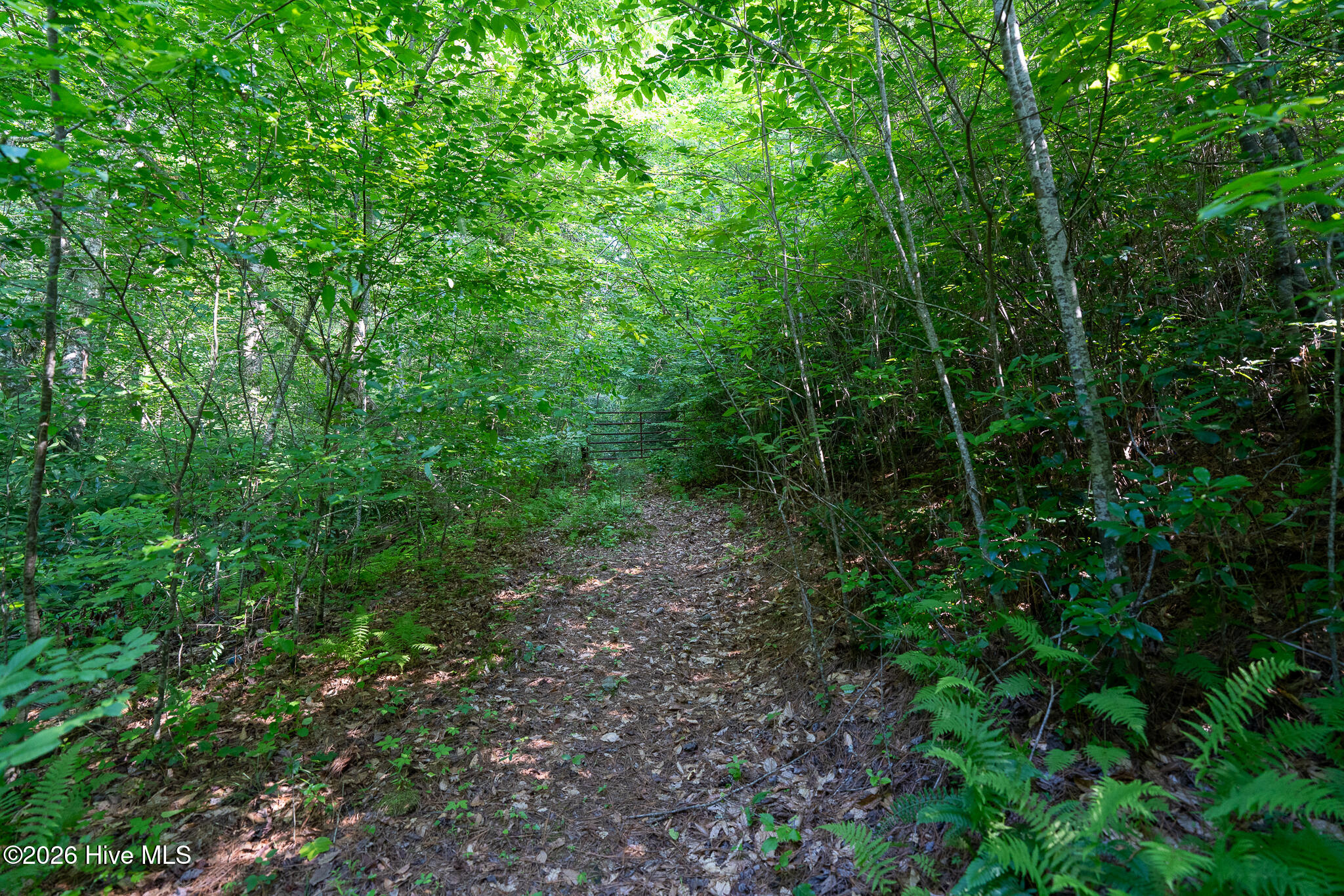 99ac Highway 74/19-129 Property Photo 17