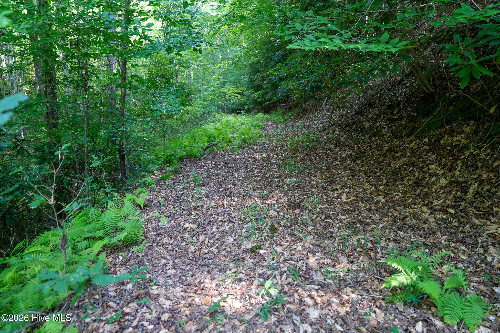 99ac Highway 74/19-129 Property Photo 19