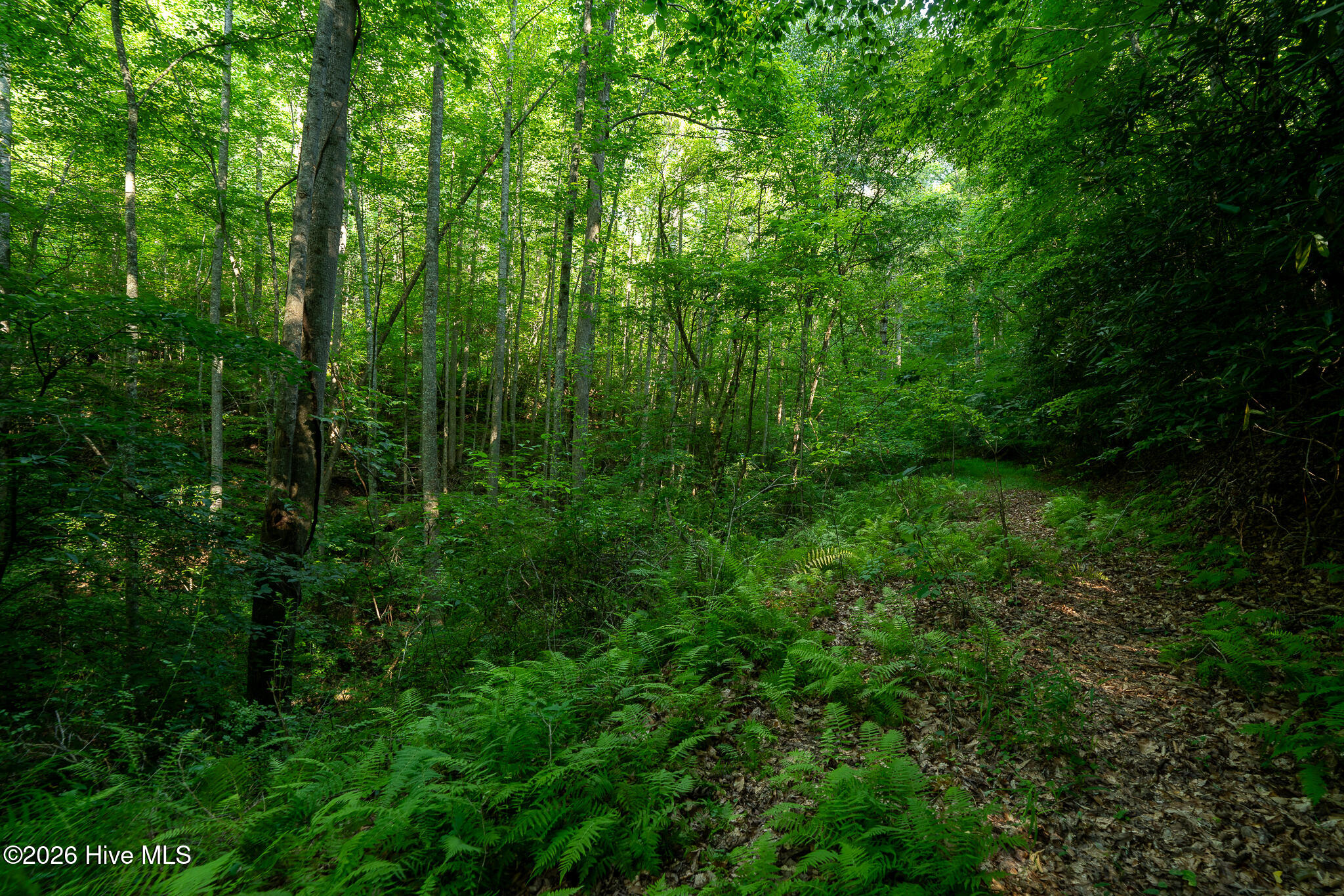 99ac Highway 74/19-129 Property Photo 20