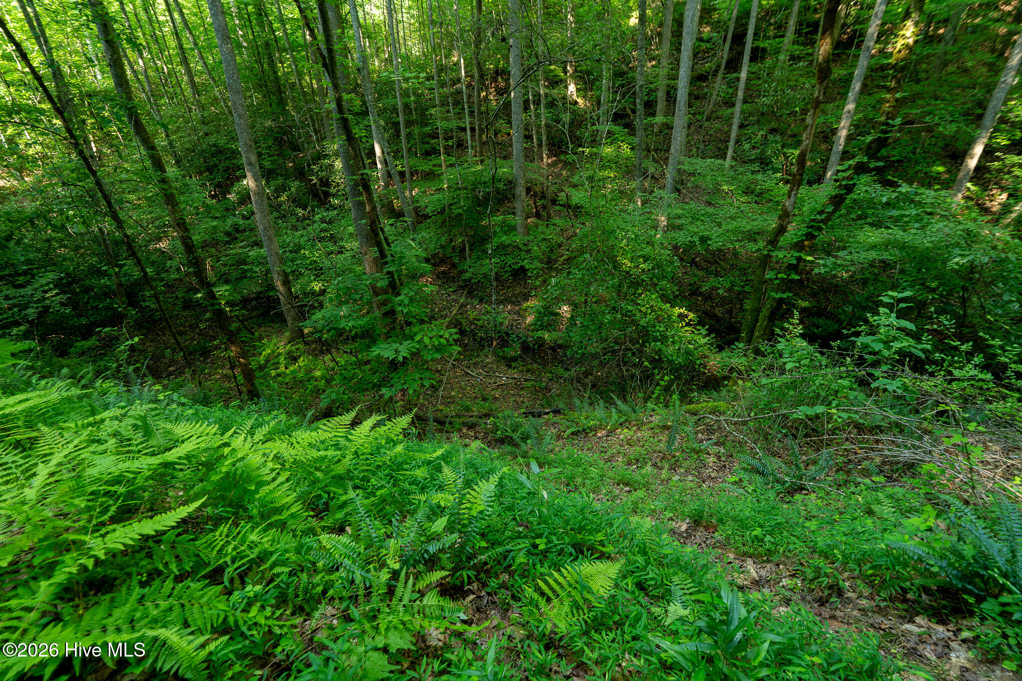 99ac Highway 74/19-129 Property Photo 21
