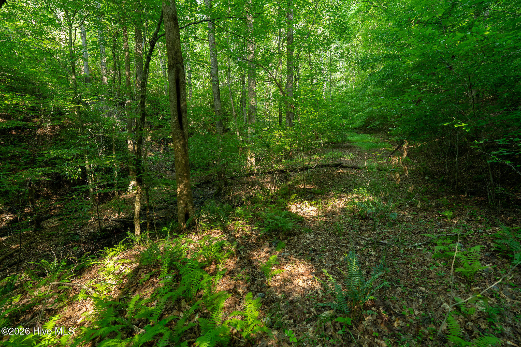 99ac Highway 74/19-129 Property Photo 22
