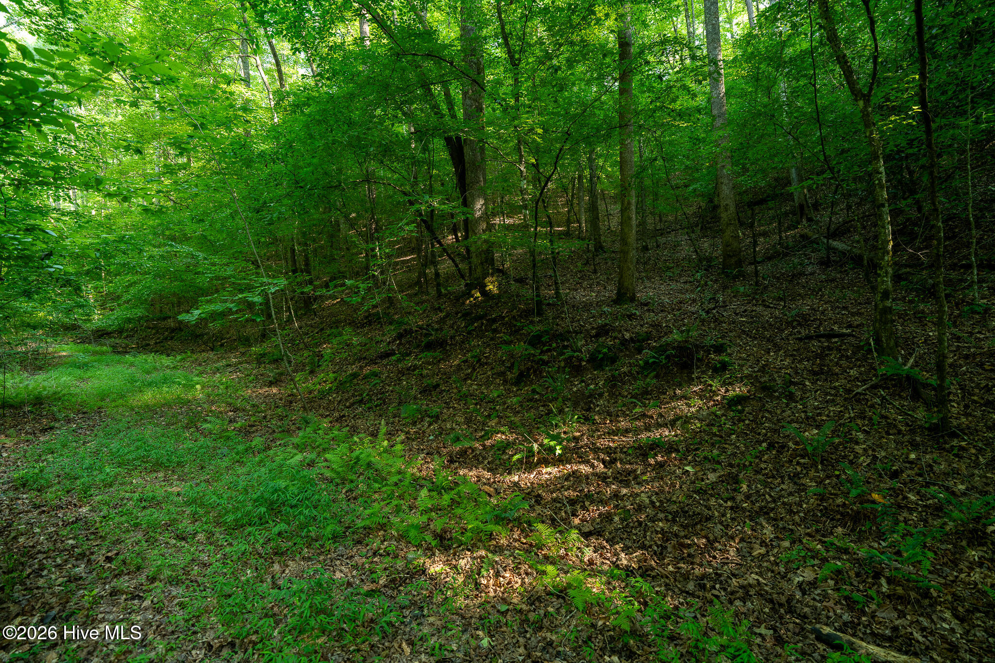 99ac Highway 74/19-129 Property Photo 23