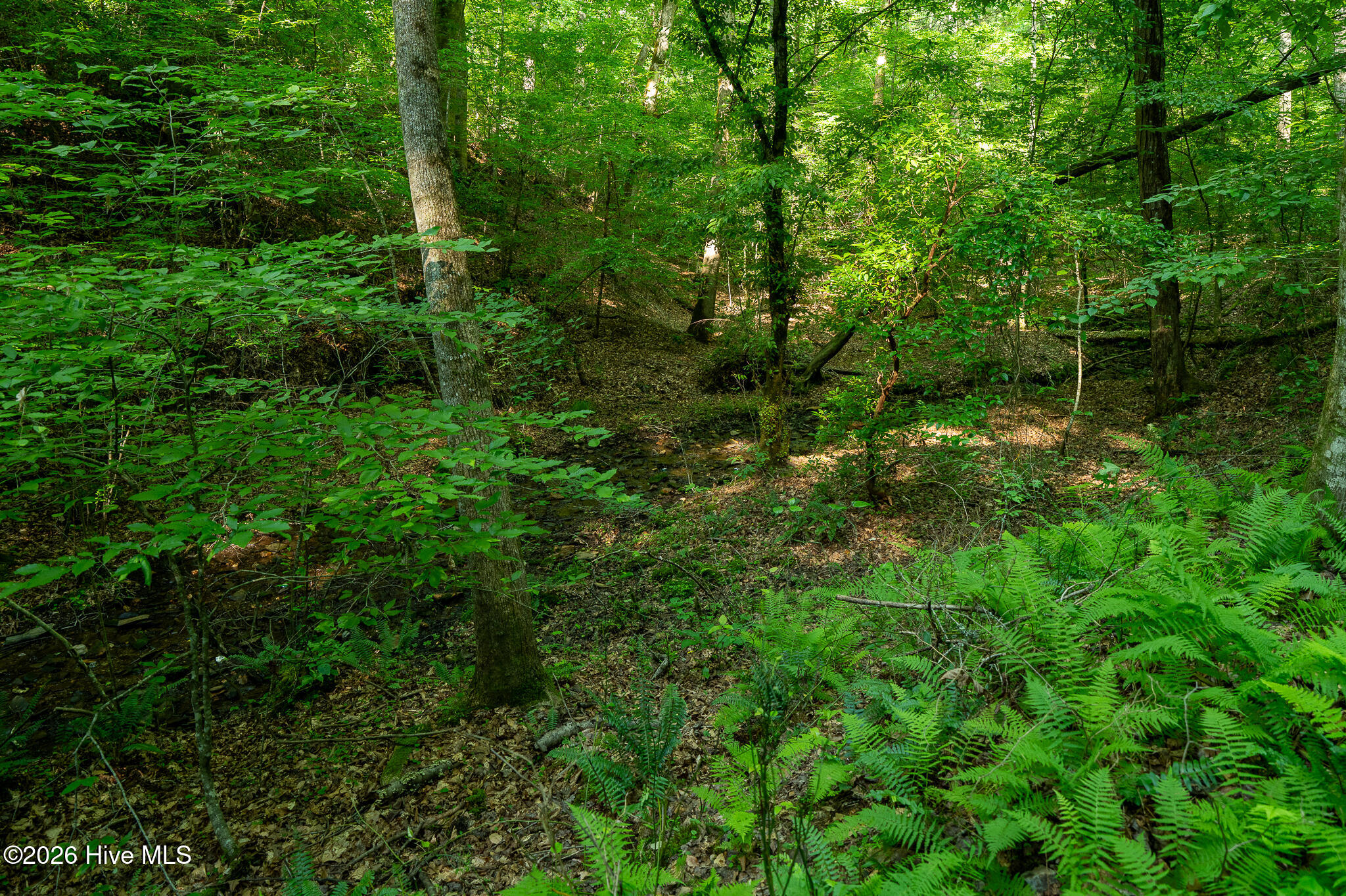 99ac Highway 74/19-129 Property Photo 24