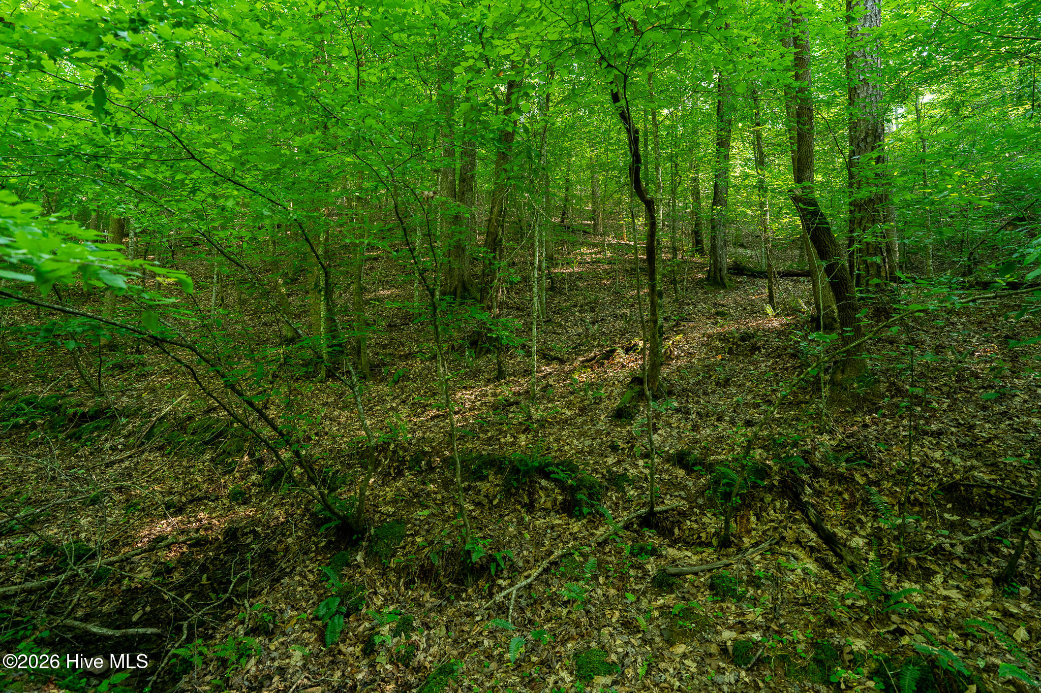 99ac Highway 74/19-129 Property Photo 25