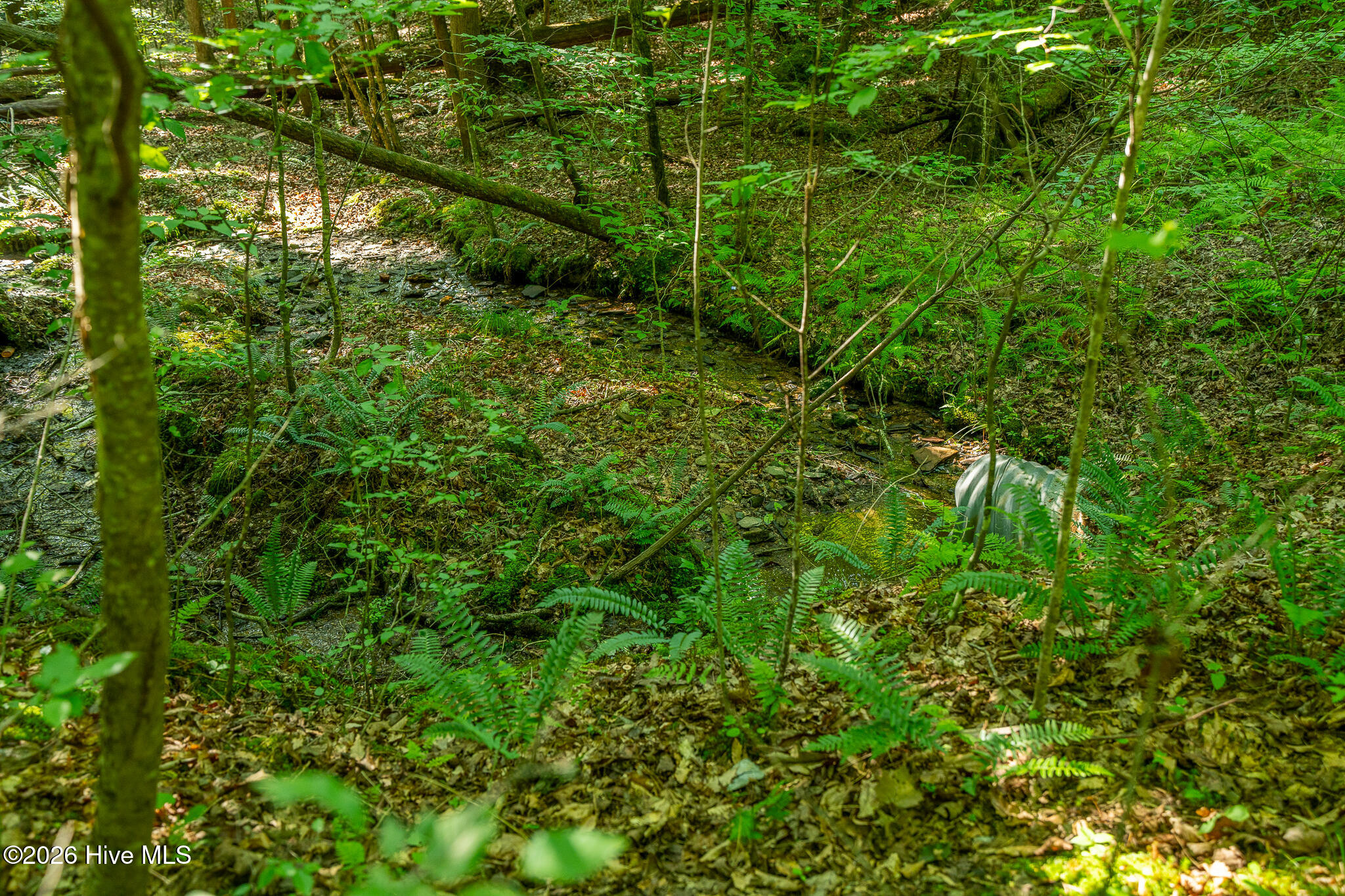 99ac Highway 74/19-129 Property Photo 26