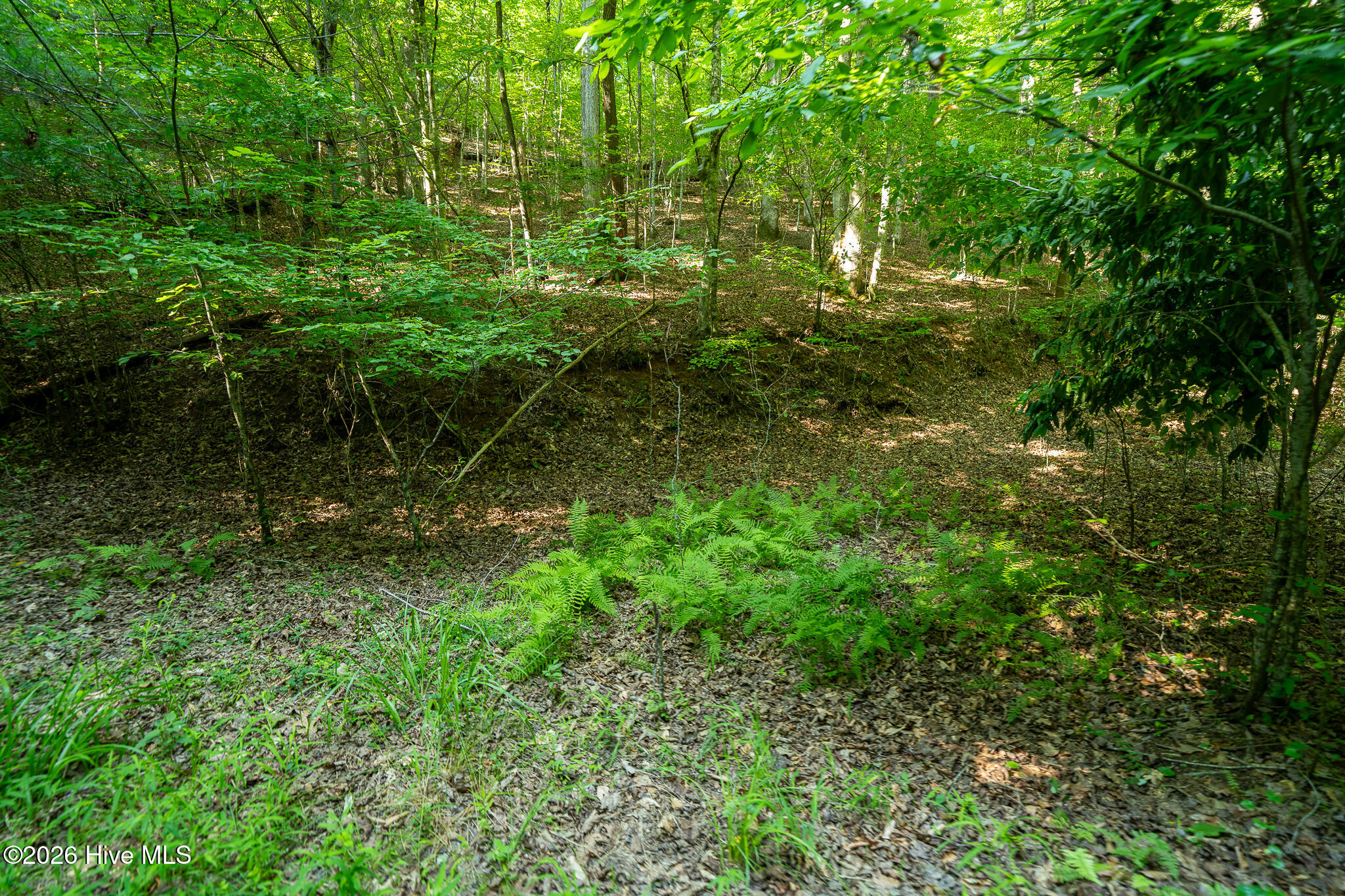 99ac Highway 74/19-129 Property Photo 27