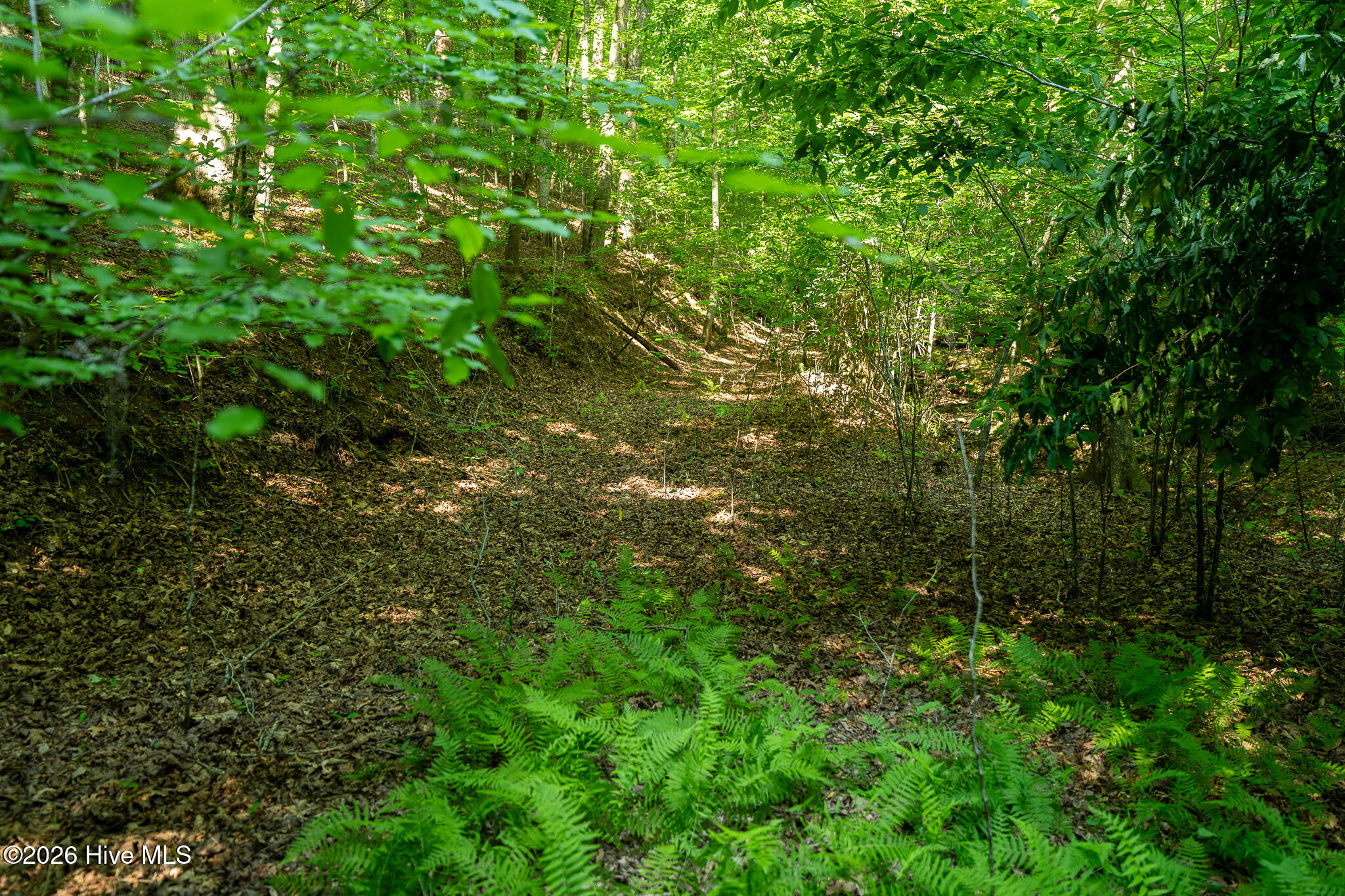 99ac Highway 74/19-129 Property Photo 28