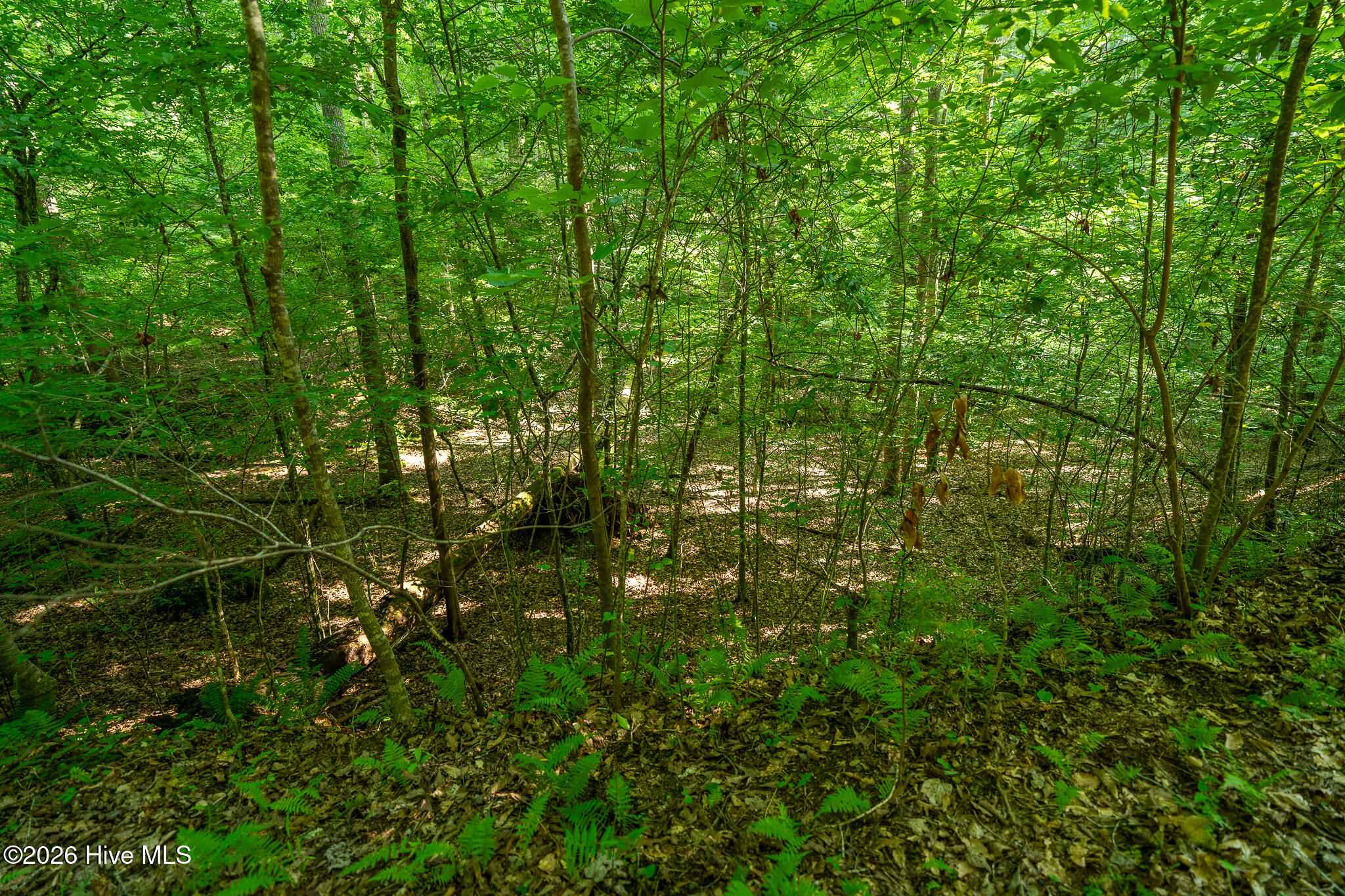 99ac Highway 74/19-129 Property Photo 29