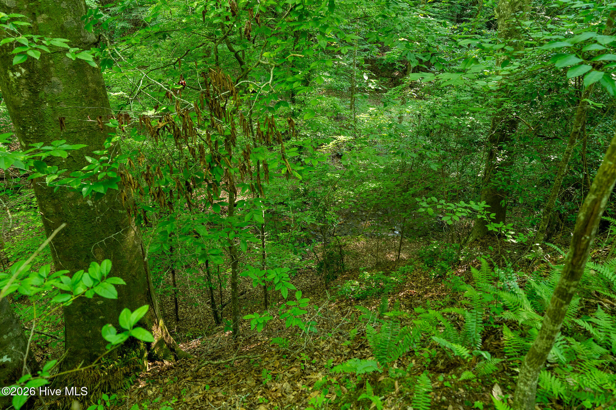 99ac Highway 74/19-129 Property Photo 30