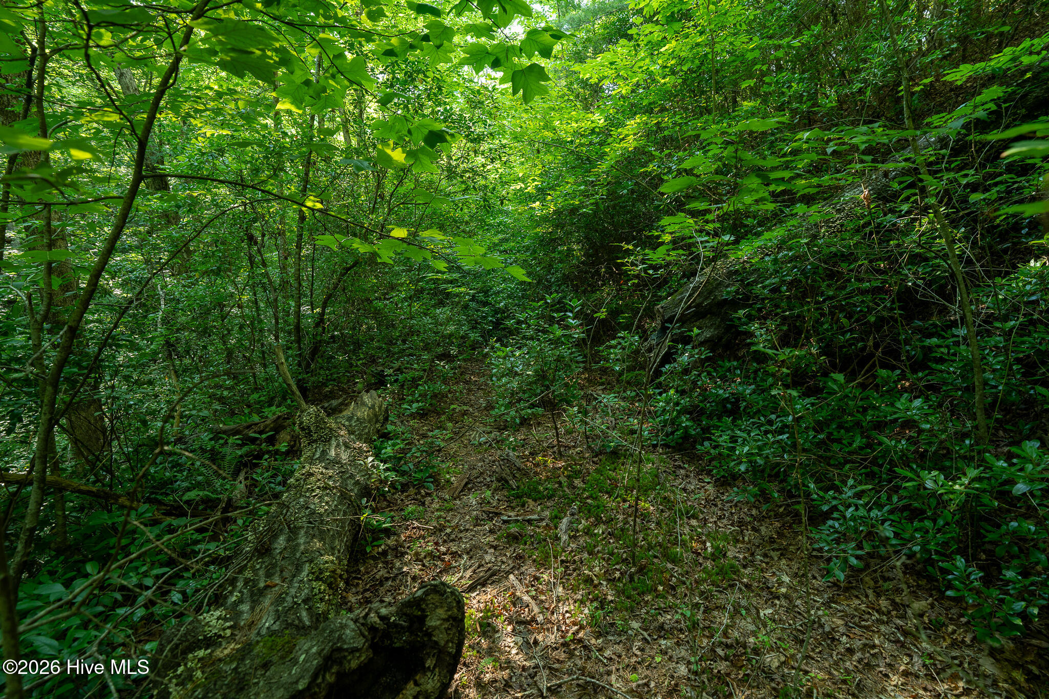 99ac Highway 74/19-129 Property Photo 31