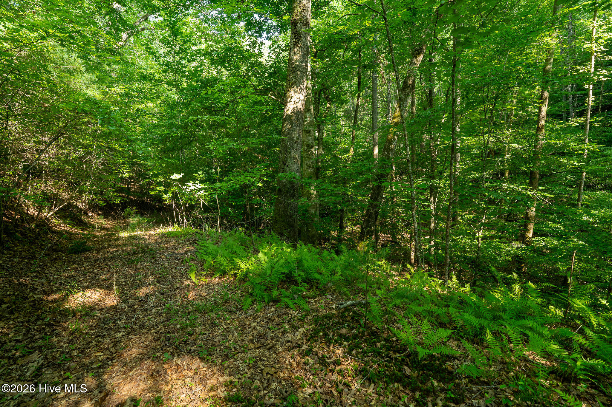 99ac Highway 74/19-129 Property Photo 32