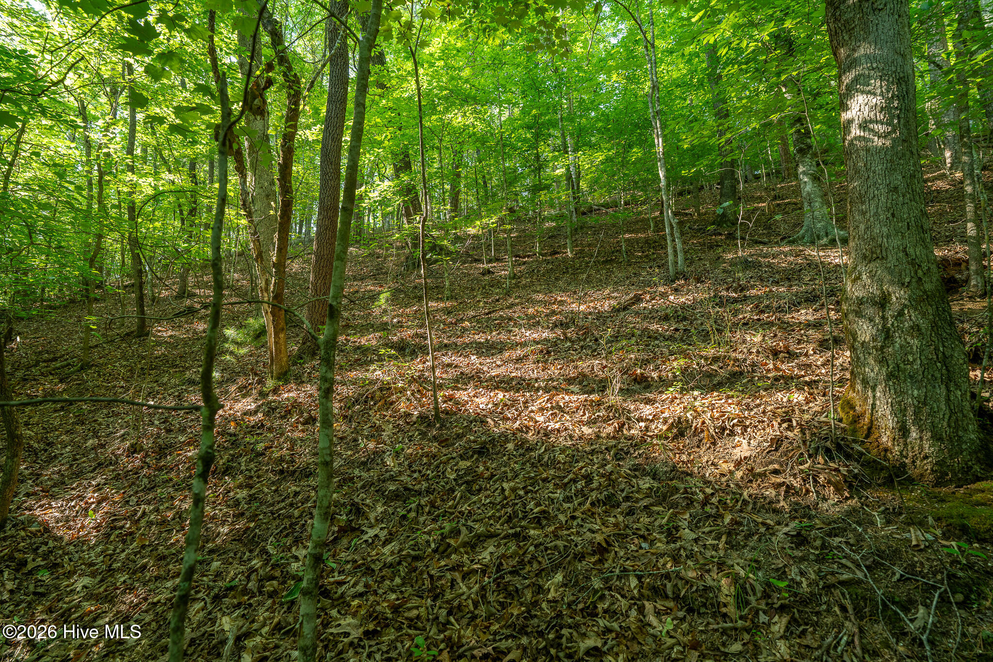 99ac Highway 74/19-129 Property Photo 33