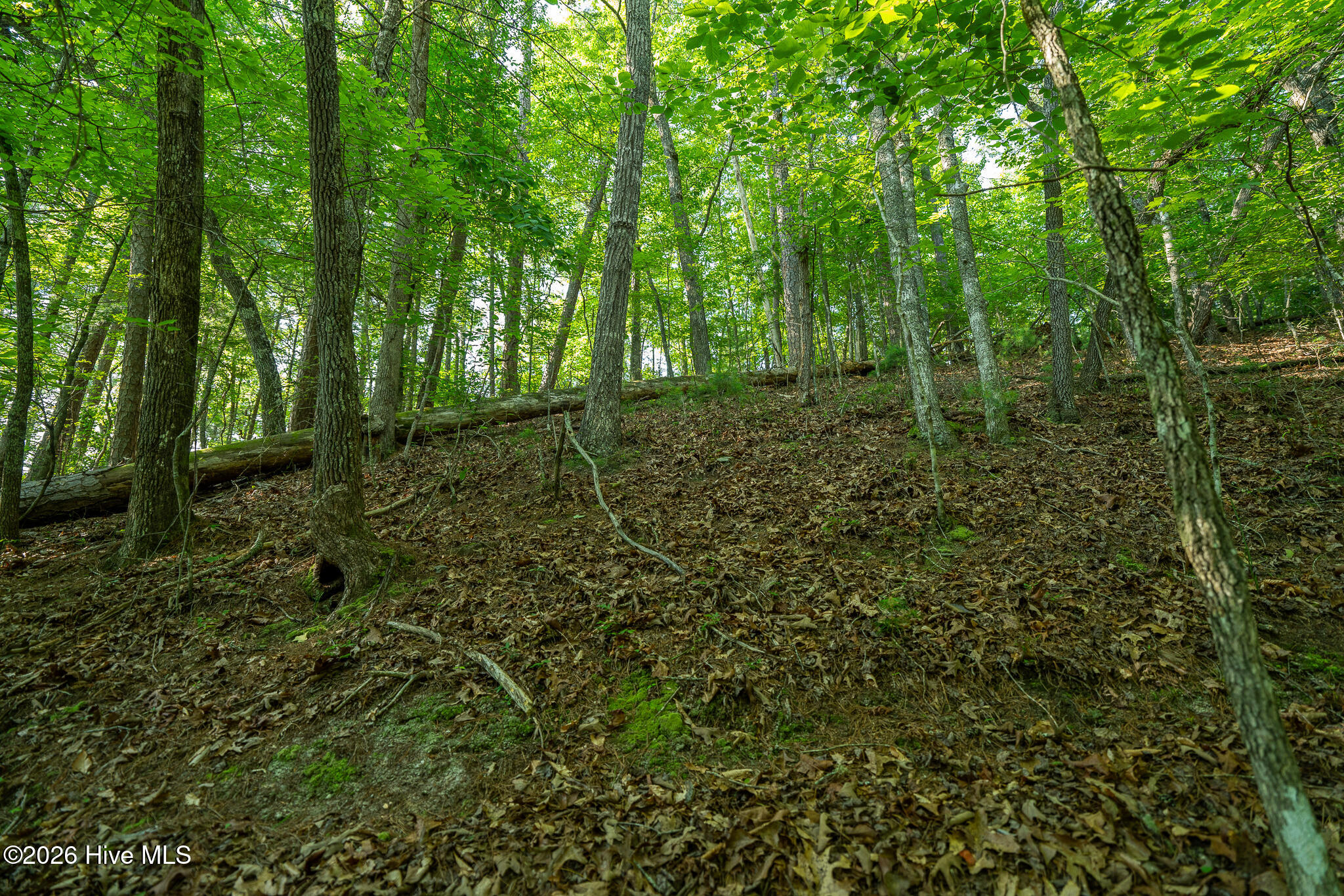 99ac Highway 74/19-129 Property Photo 34