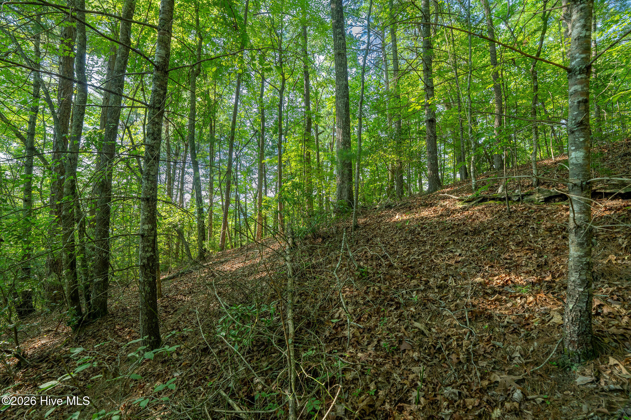 99ac Highway 74/19-129 Property Photo 35