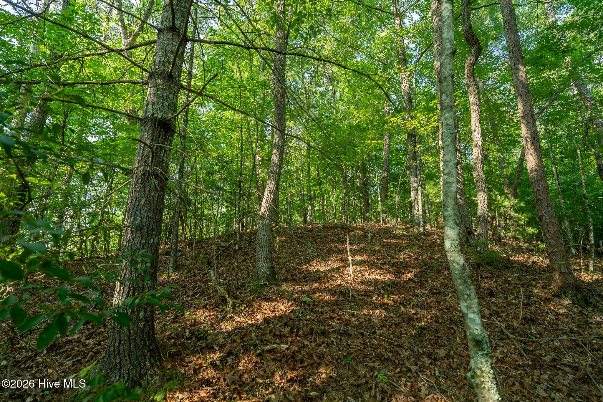 99ac Highway 74/19-129 Property Photo 36