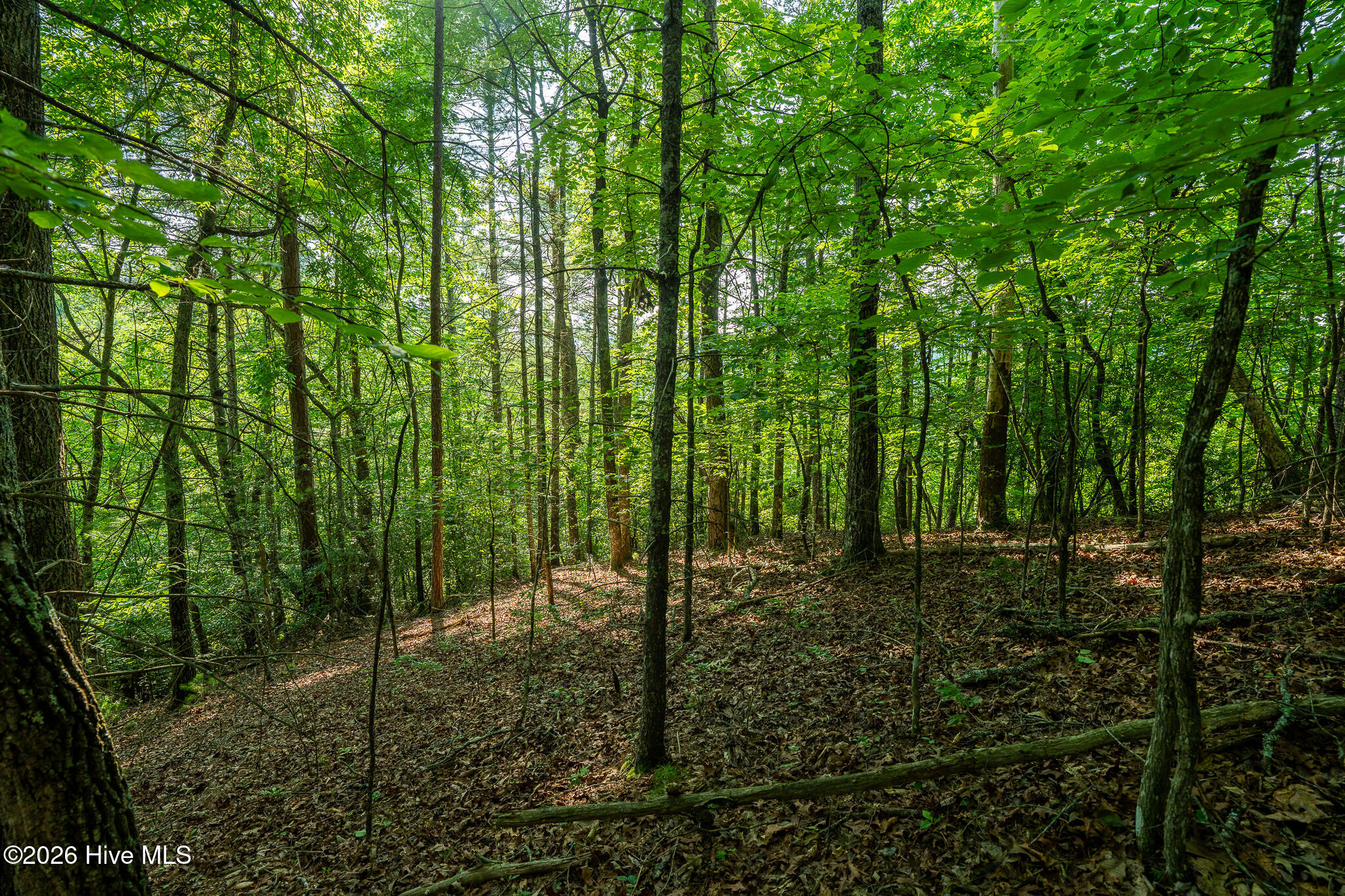 99ac Highway 74/19-129 Property Photo 37