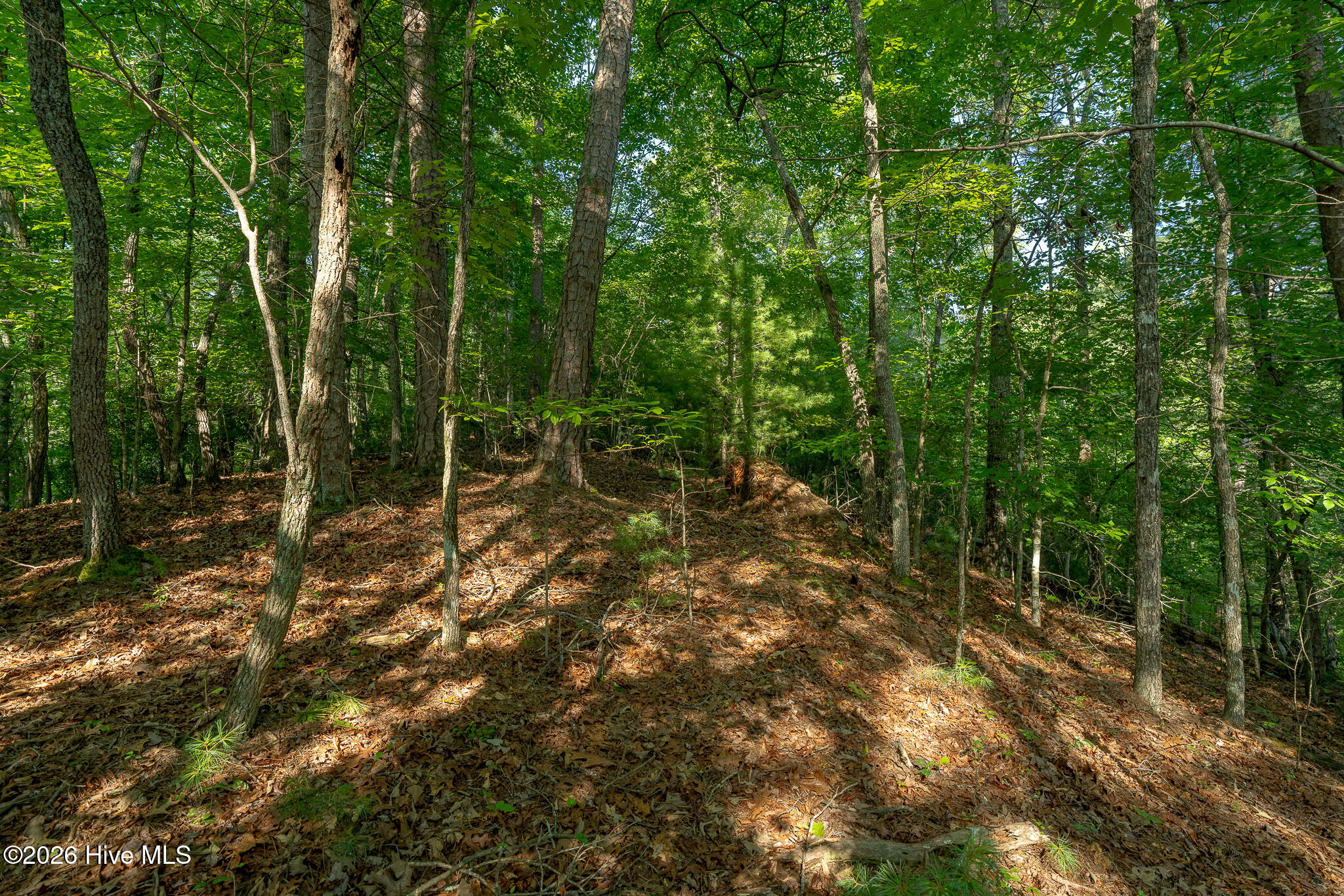 99ac Highway 74/19-129 Property Photo 38
