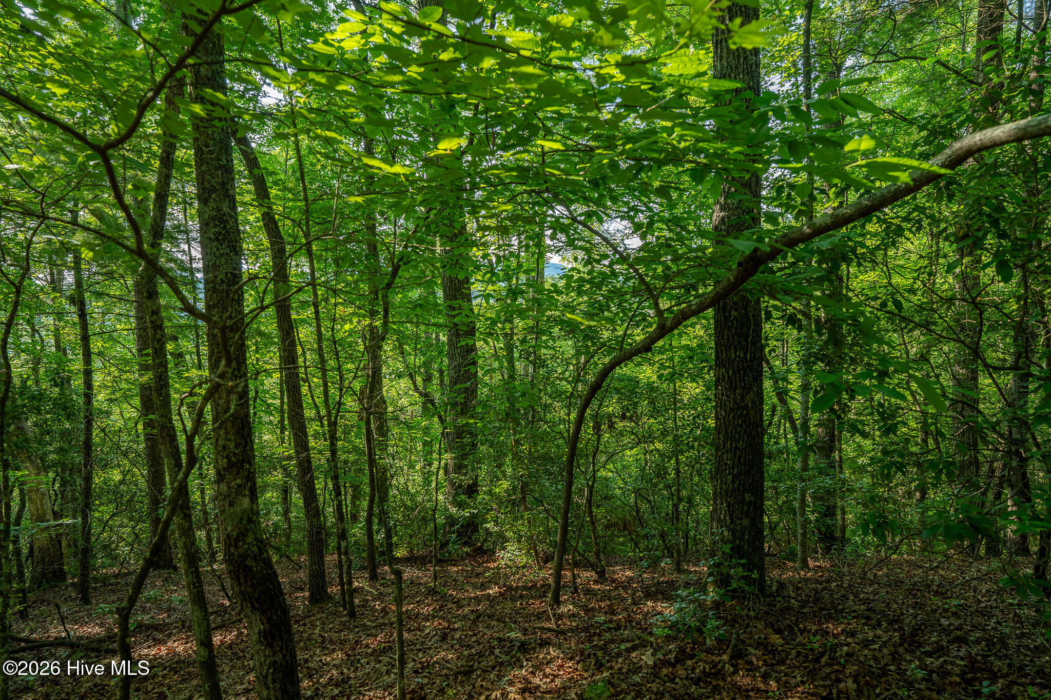 99ac Highway 74/19-129 Property Photo 40