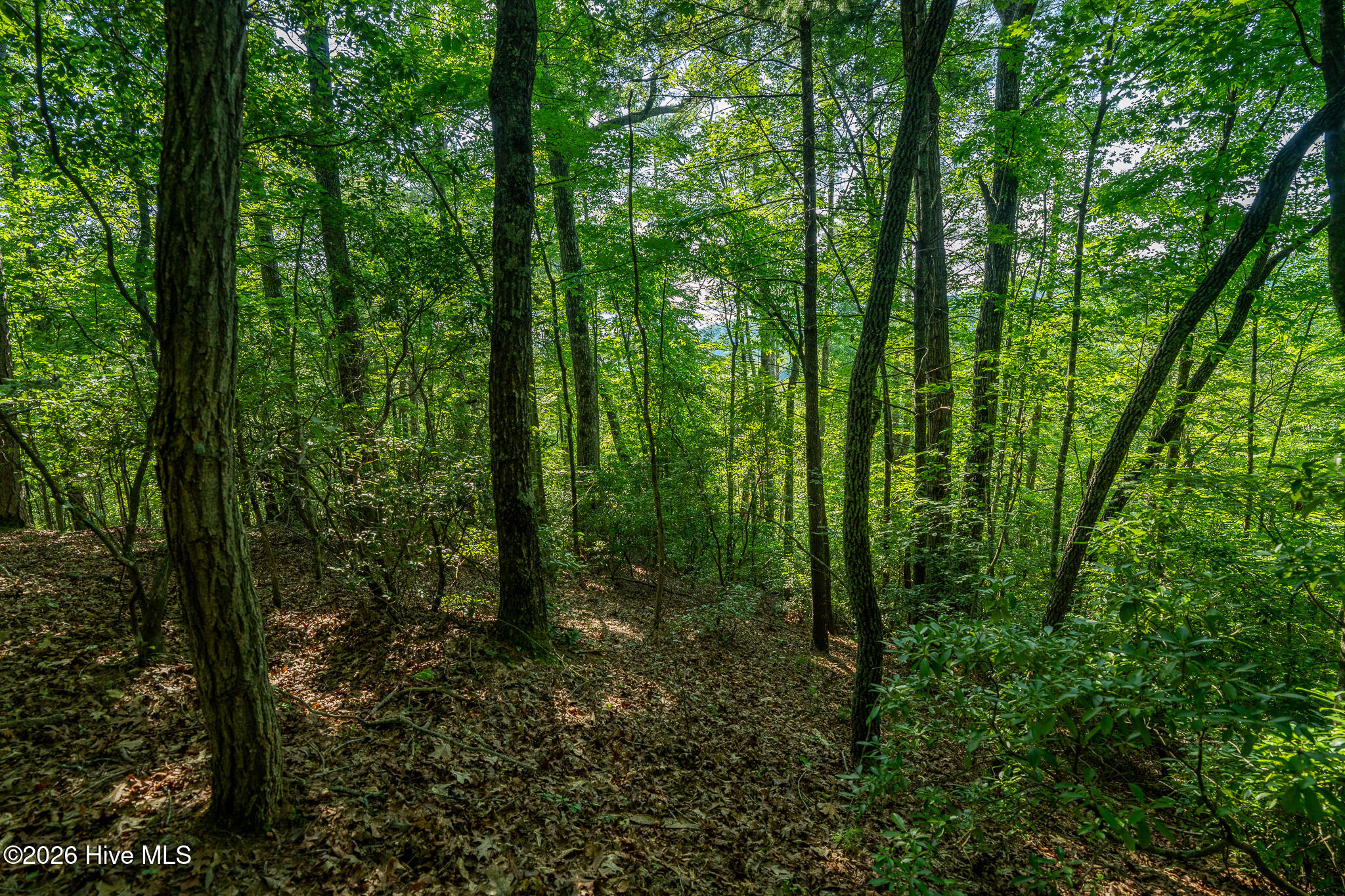 99ac Highway 74/19-129 Property Photo 41