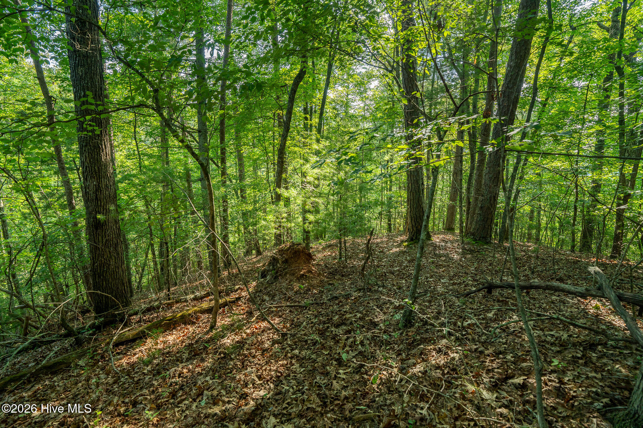 99ac Highway 74/19-129 Property Photo 42